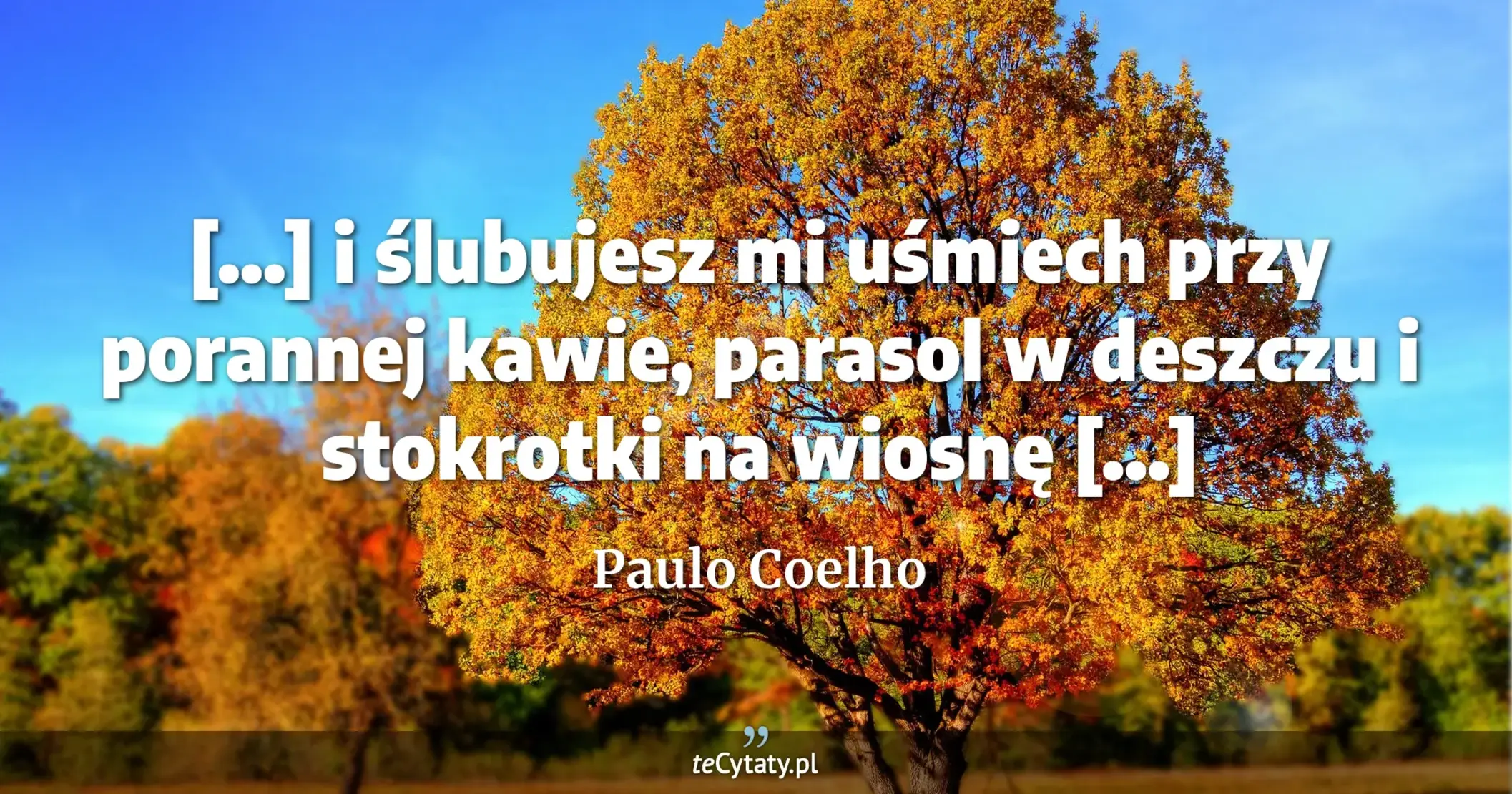 [...] i ślubujesz mi uśmiech przy porannej kawie, parasol w deszczu i stokrotki na wiosnę [...] - Paulo Coelho