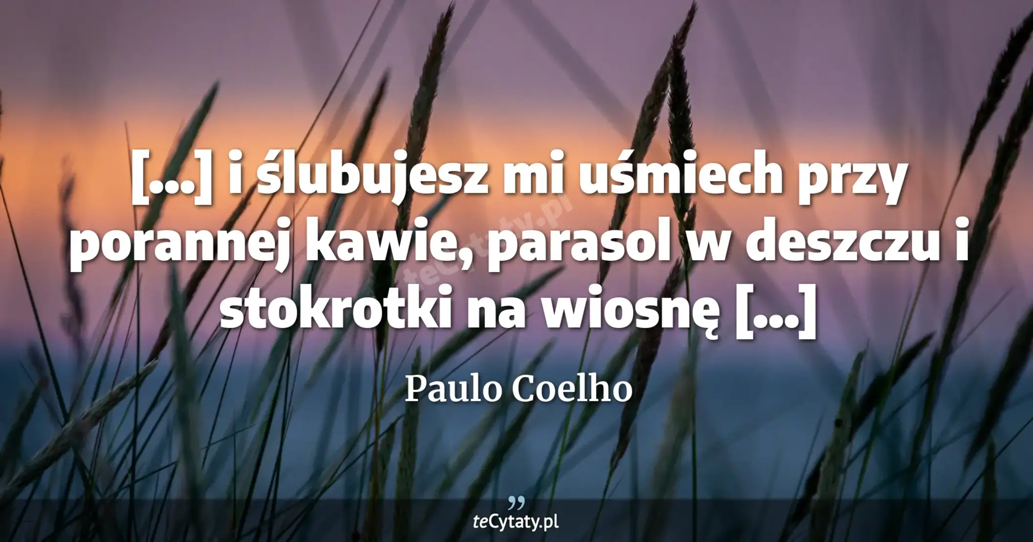 [...] i ślubujesz mi uśmiech przy porannej kawie, parasol w deszczu i stokrotki na wiosnę [...] - Paulo Coelho