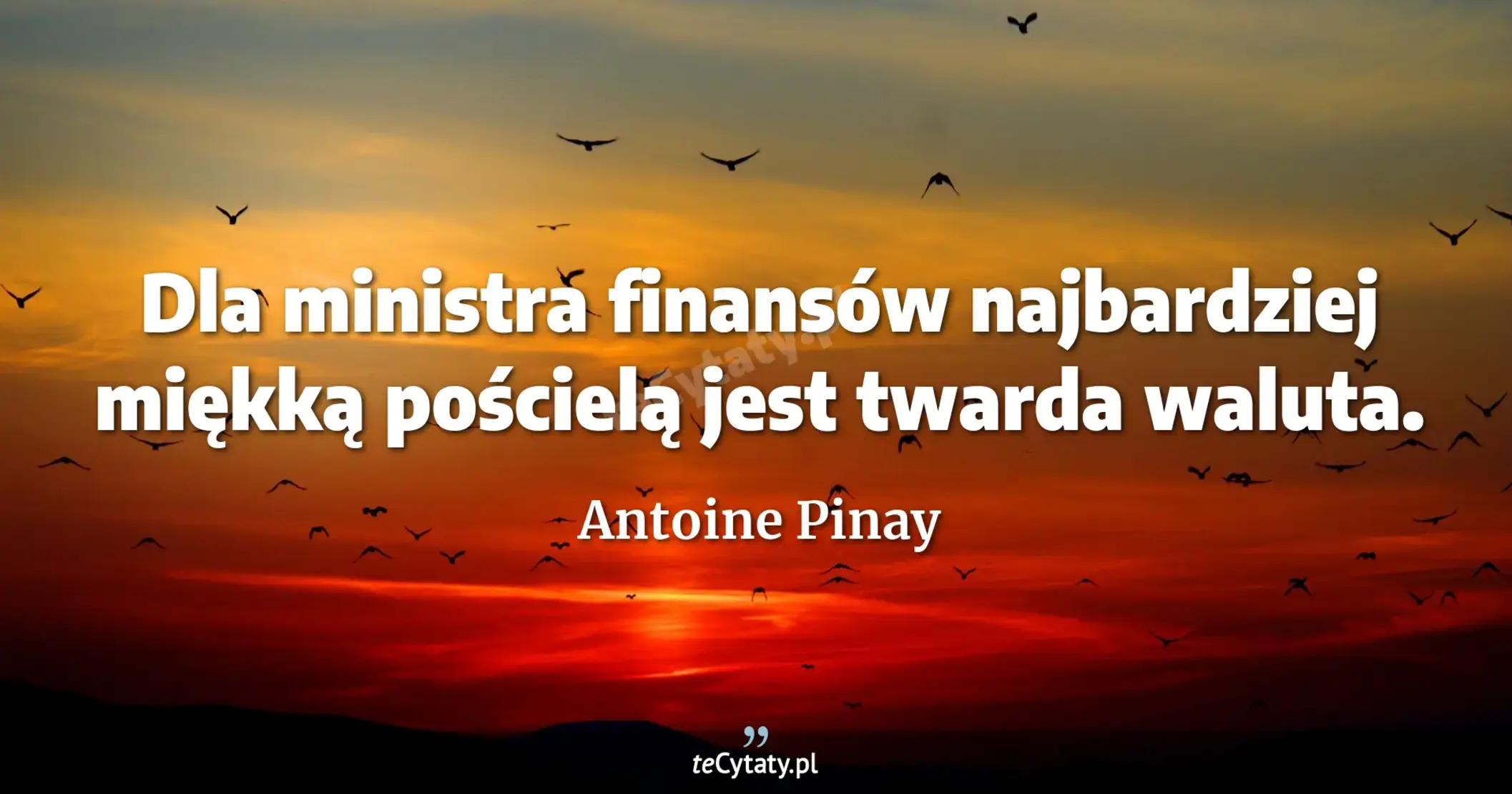 Dla ministra finansów najbardziej miękką pościelą jest twarda waluta. - Antoine Pinay