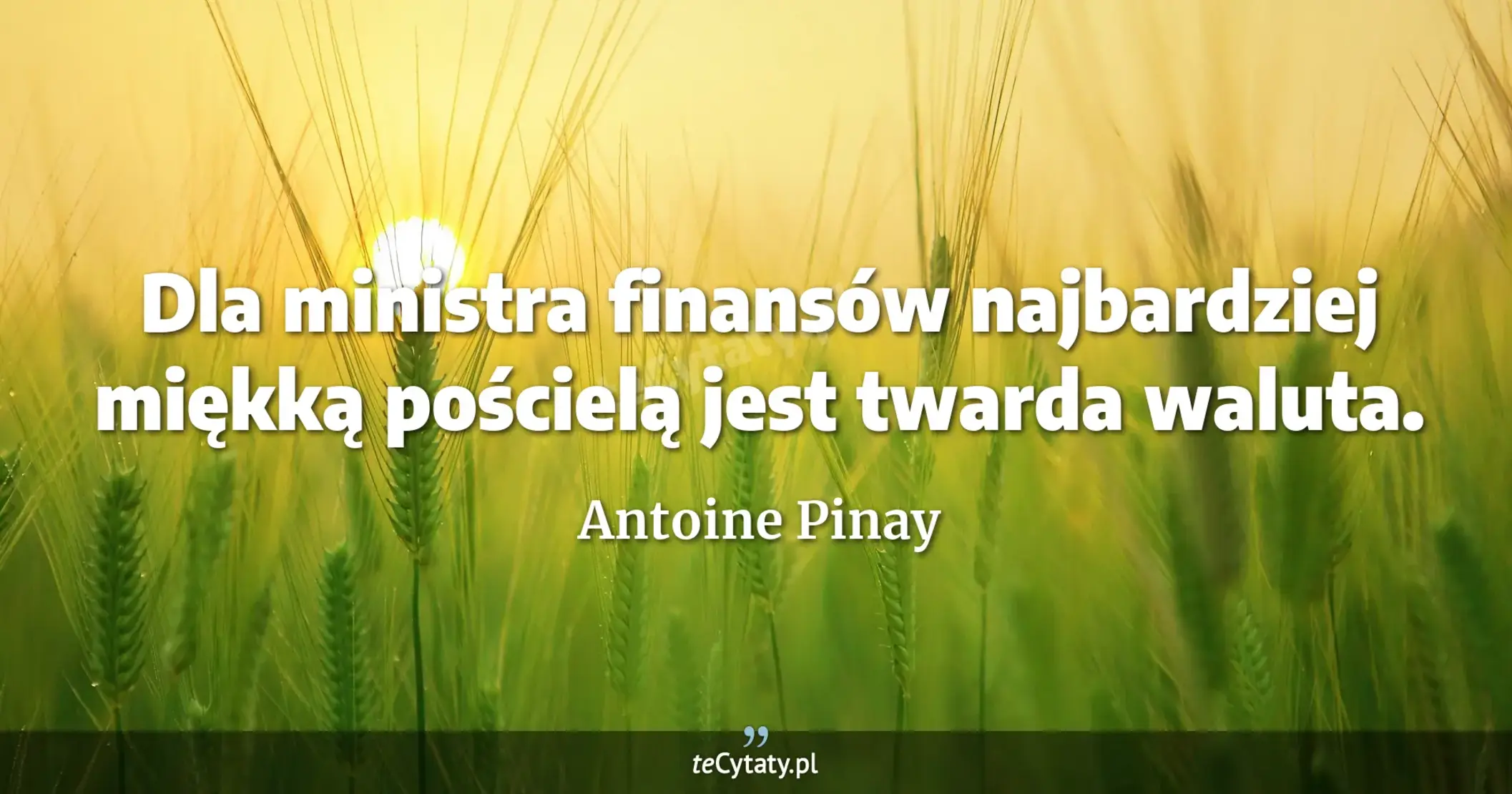 Dla ministra finansów najbardziej miękką pościelą jest twarda waluta. - Antoine Pinay