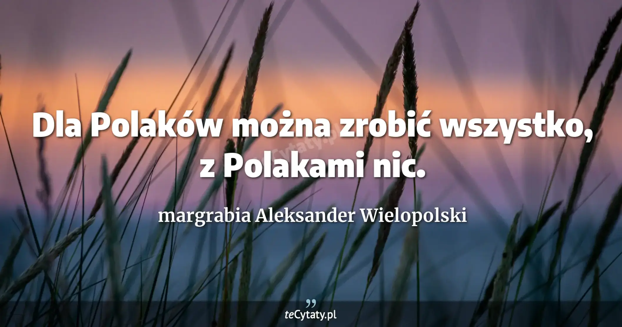 Dla Polaków można zrobić wszystko, z Polakami nic. - margrabia Aleksander Wielopolski