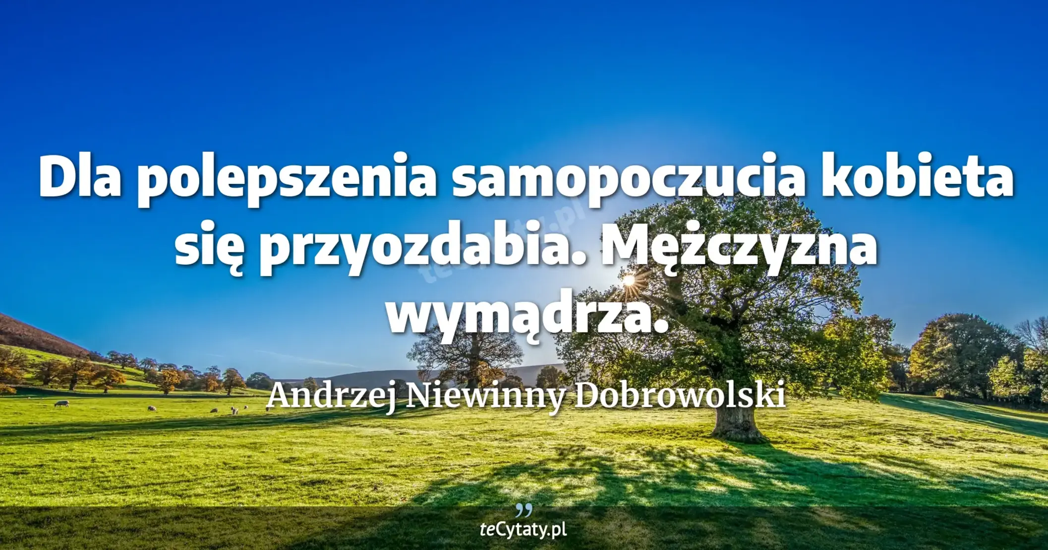 Dla polepszenia samopoczucia kobieta się przyozdabia. Mężczyzna wymądrza. - Andrzej Niewinny Dobrowolski