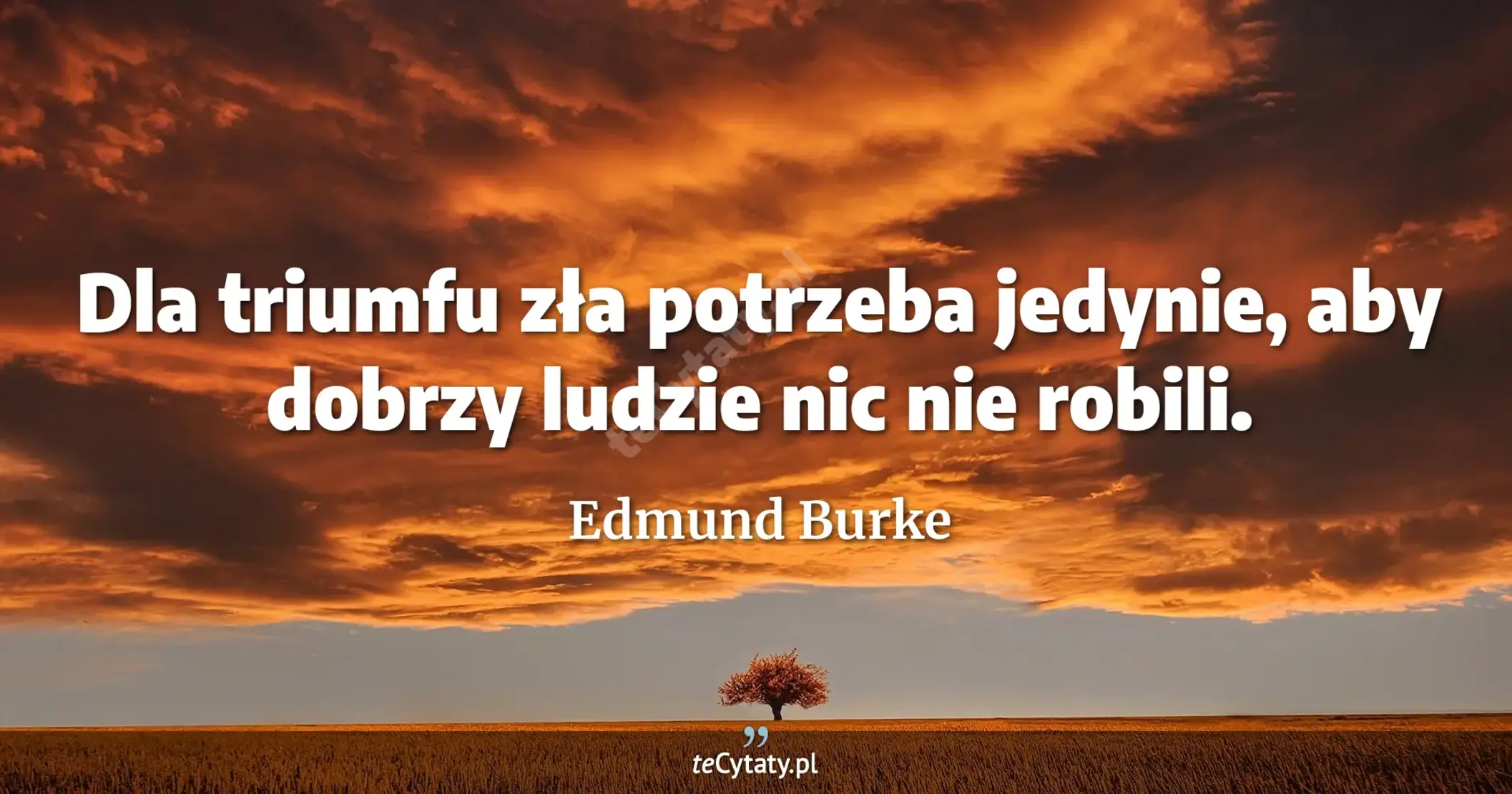 Dla triumfu zła potrzeba jedynie, aby dobrzy ludzie nic nie robili. - Edmund Burke