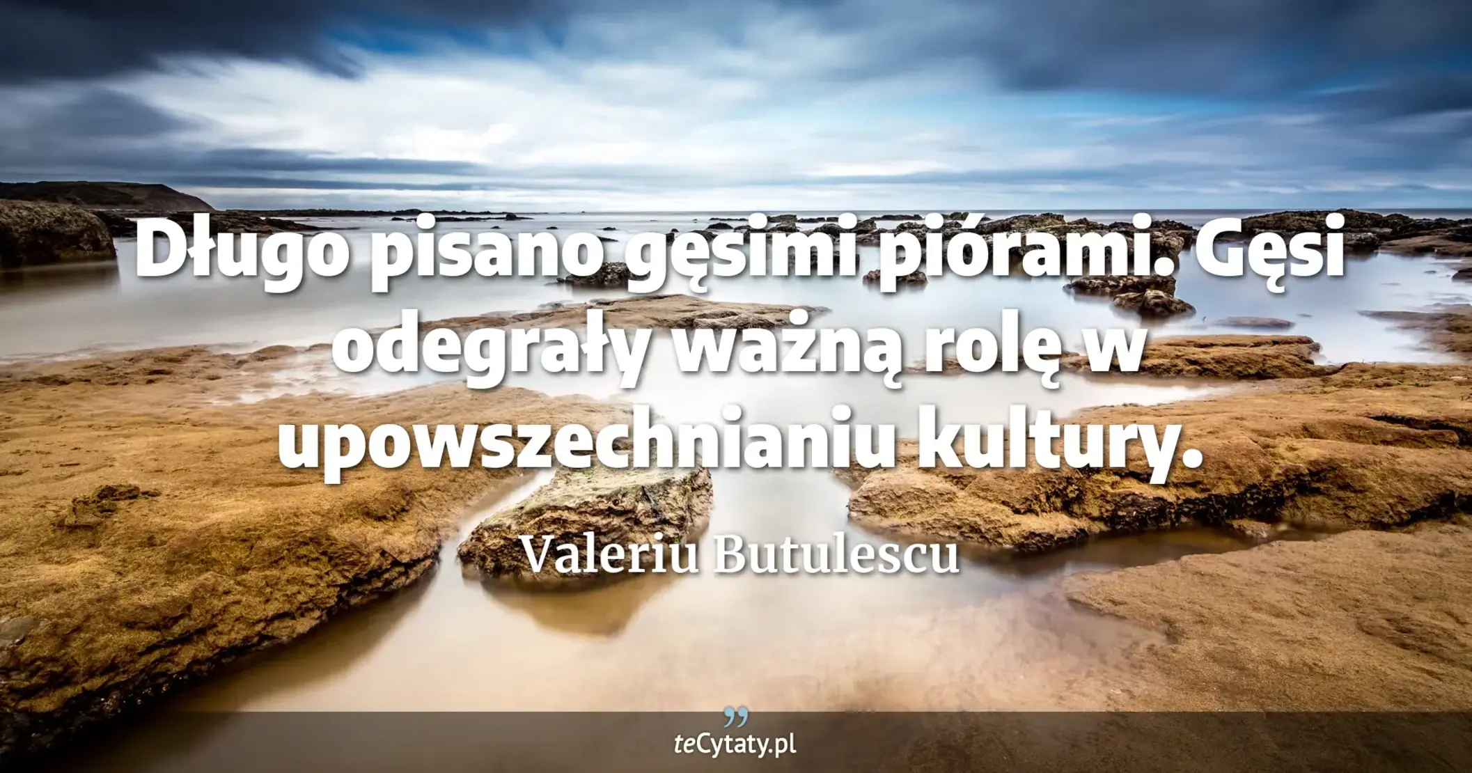 Długo pisano gęsimi piórami. Gęsi odegrały ważną rolę w upowszechnianiu kultury. - Valeriu Butulescu