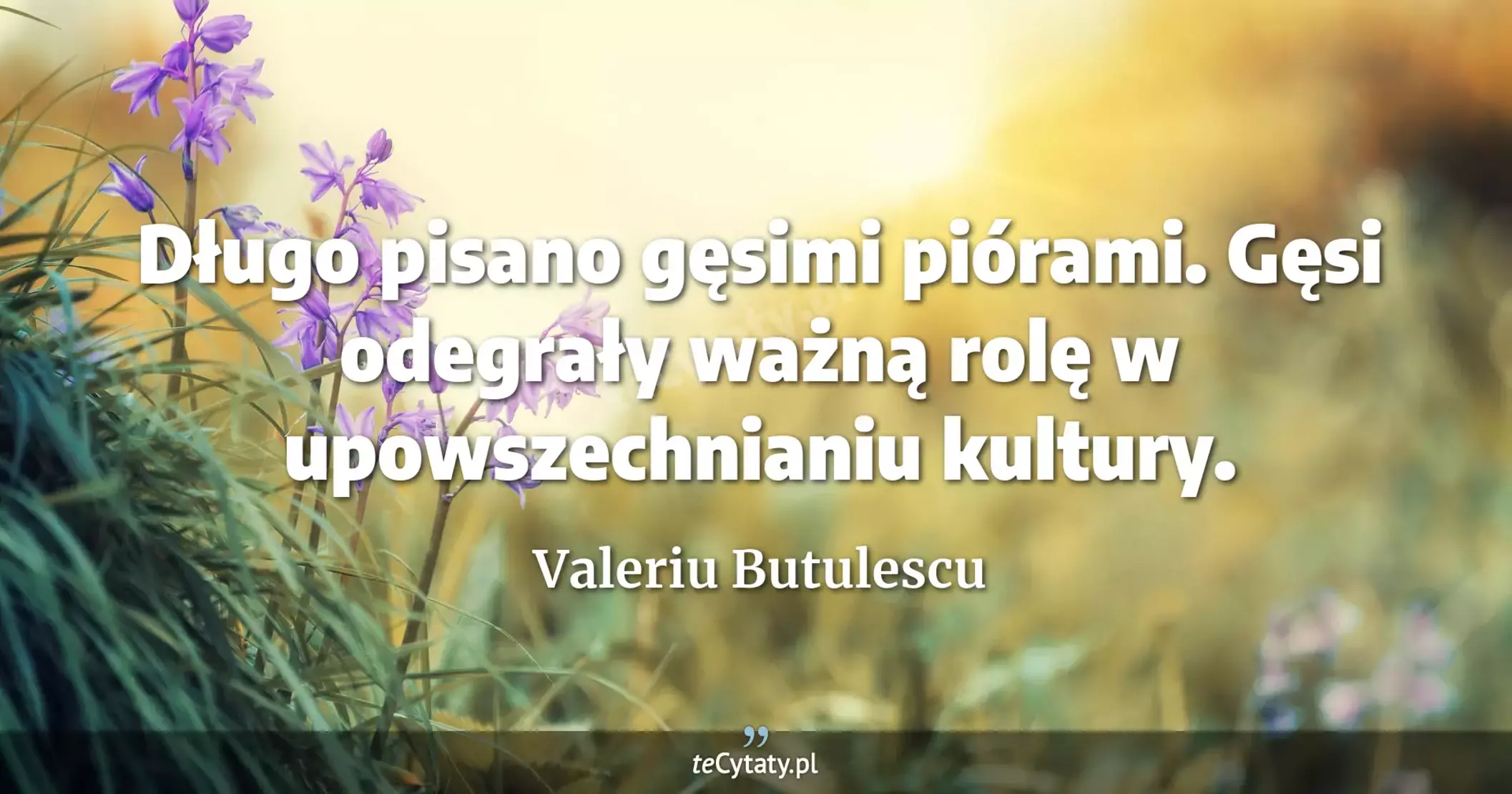 Długo pisano gęsimi piórami. Gęsi odegrały ważną rolę w upowszechnianiu kultury. - Valeriu Butulescu