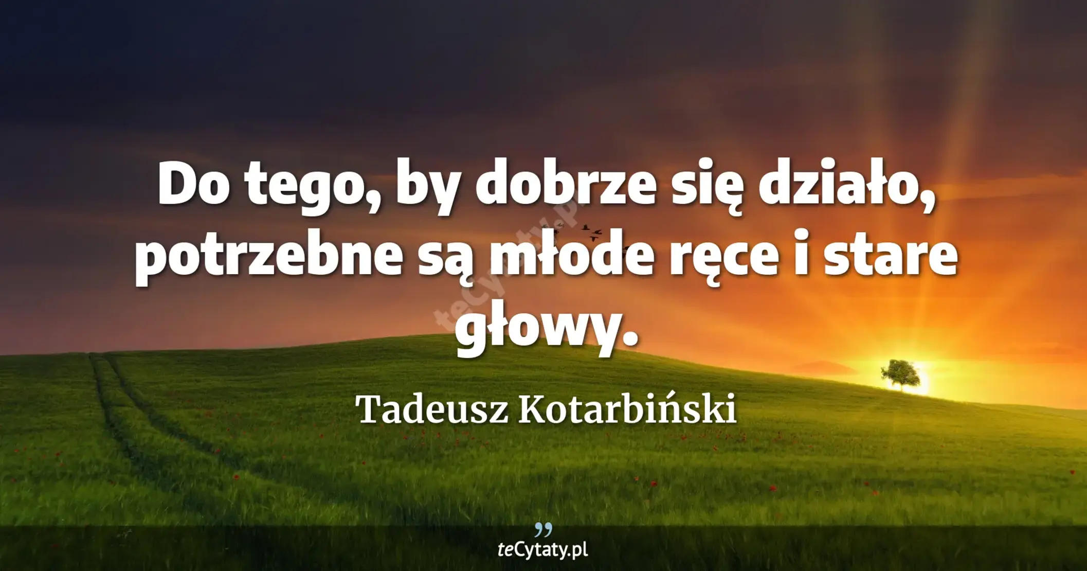 Do tego, by dobrze się działo, potrzebne są młode ręce i stare głowy. - Tadeusz Kotarbiński