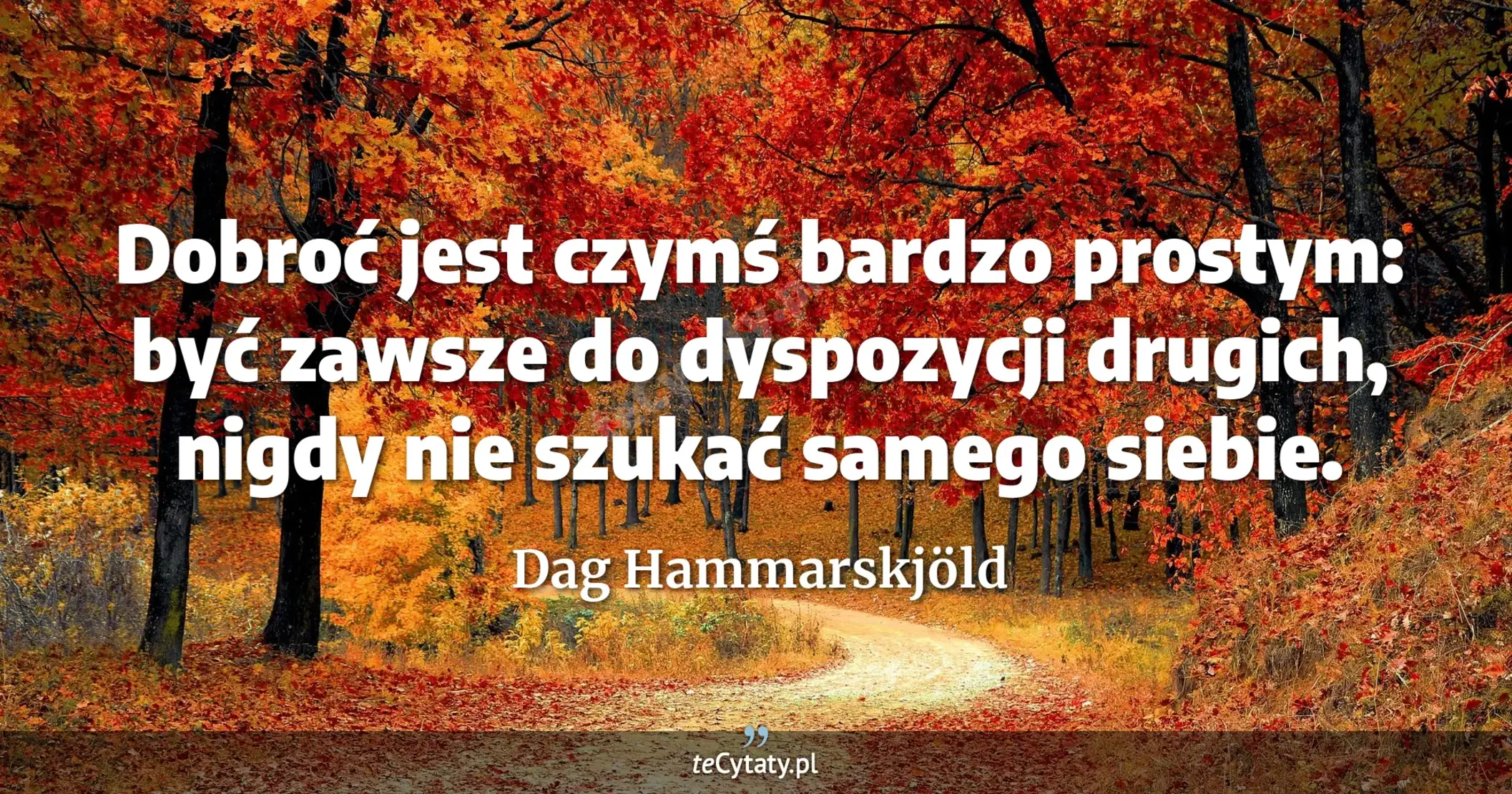 Dobroć jest czymś bardzo prostym: być zawsze do dyspozycji drugich, nigdy nie szukać samego siebie. - Dag Hammarskjöld