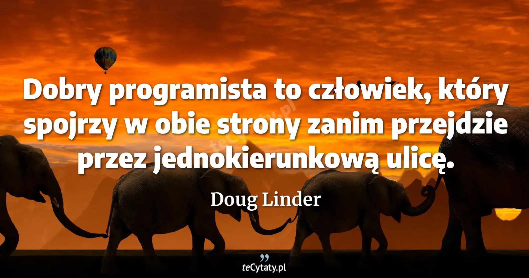 Dobry programista to człowiek, który spojrzy w obie strony zanim przejdzie przez jednokierunkową ulicę. - Doug Linder