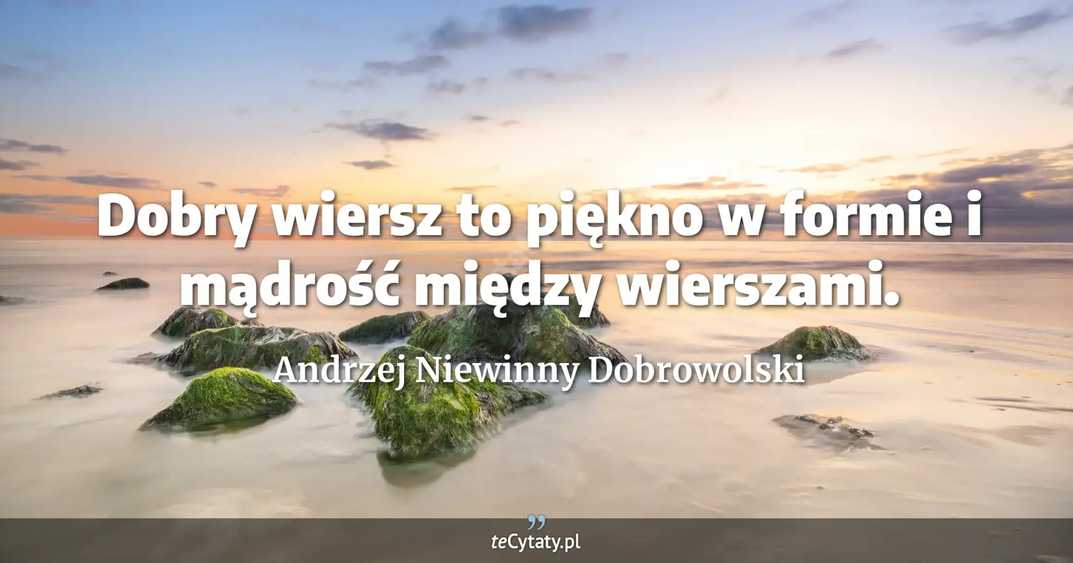 Dobry wiersz to piękno w formie i mądrość między wierszami. - Andrzej Niewinny Dobrowolski