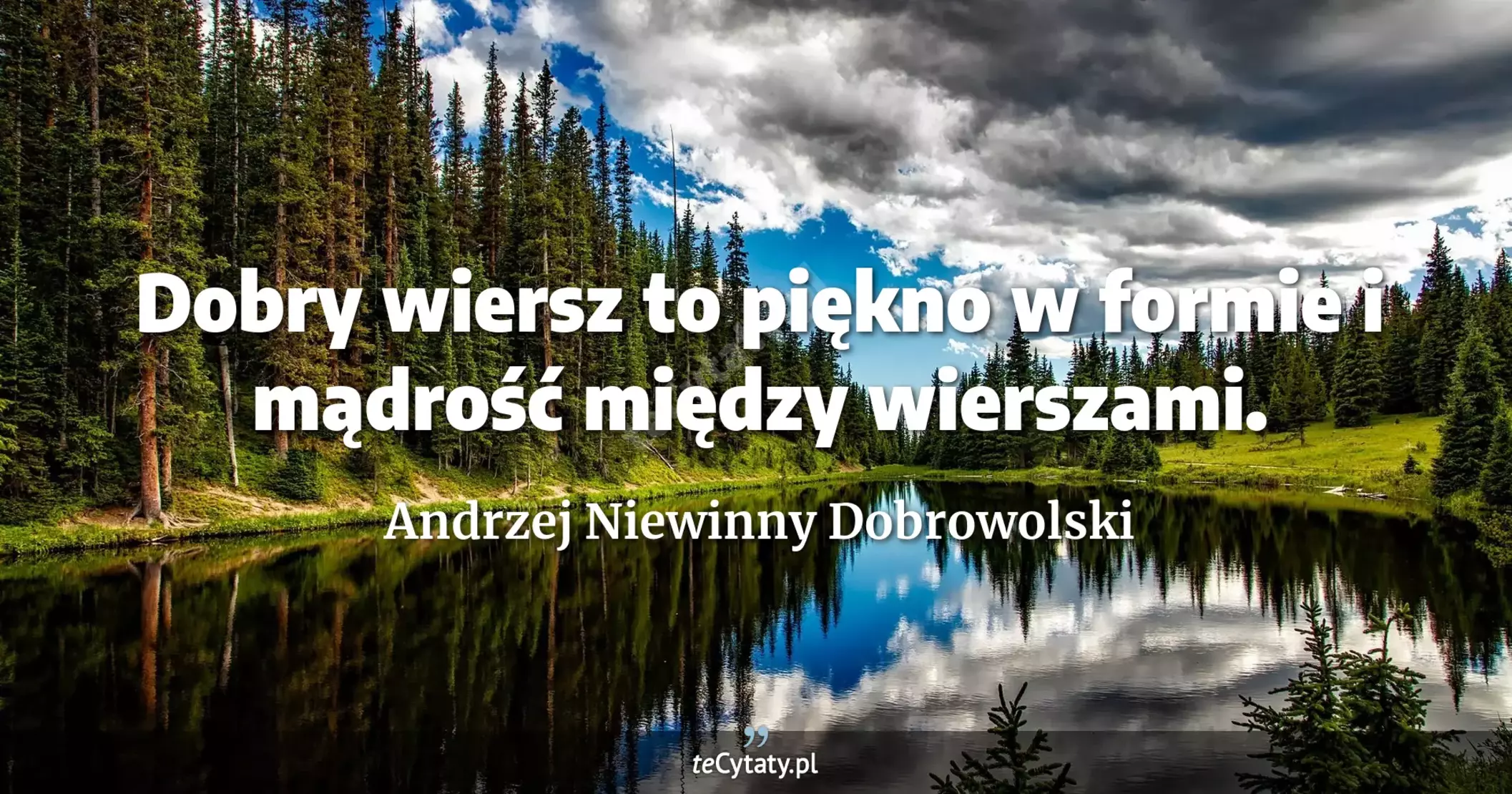Dobry wiersz to piękno w formie i mądrość między wierszami. - Andrzej Niewinny Dobrowolski