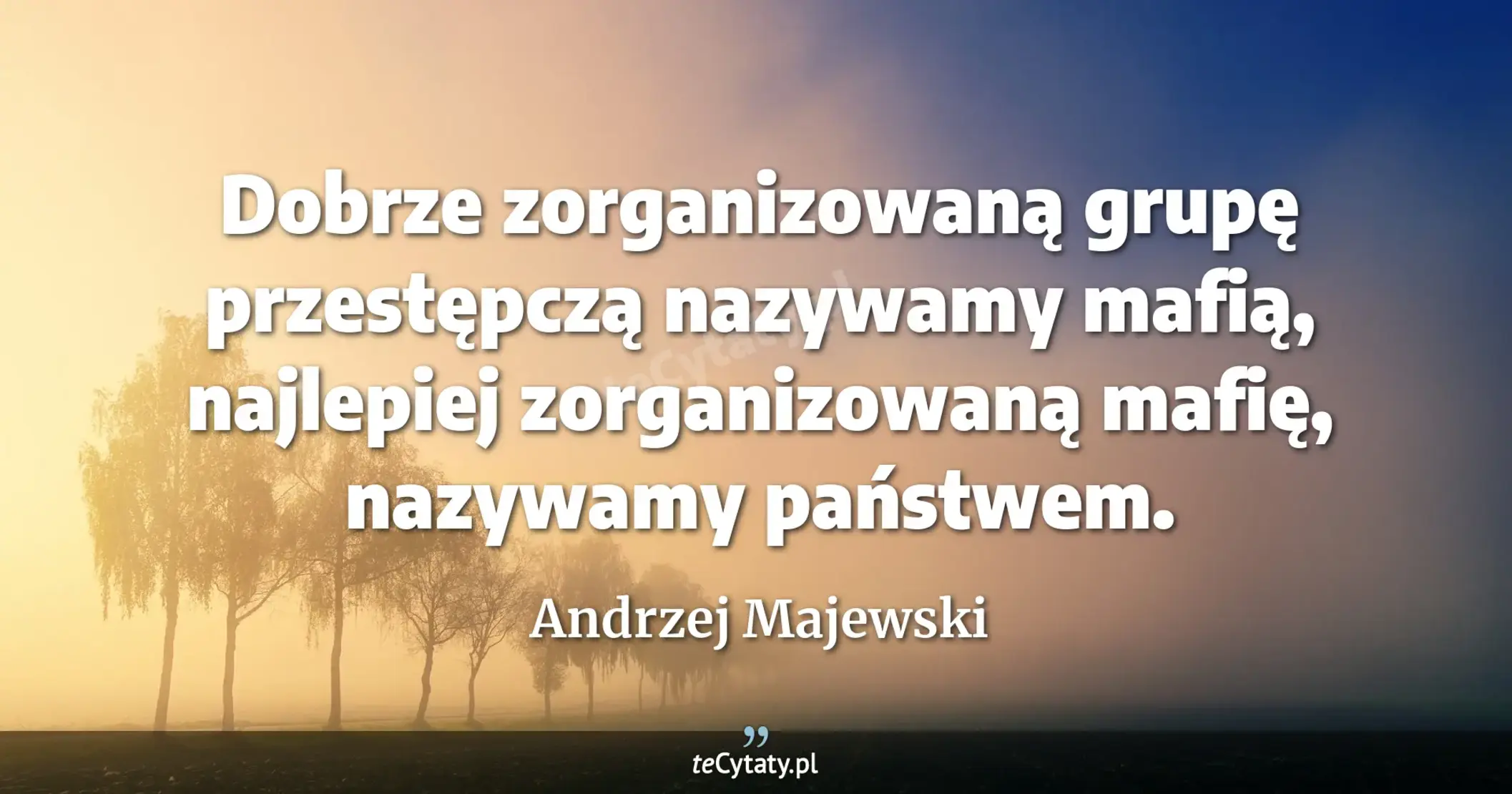Dobrze zorganizowaną grupę przestępczą nazywamy mafią, najlepiej zorganizowaną mafię, nazywamy państwem. - Andrzej Majewski