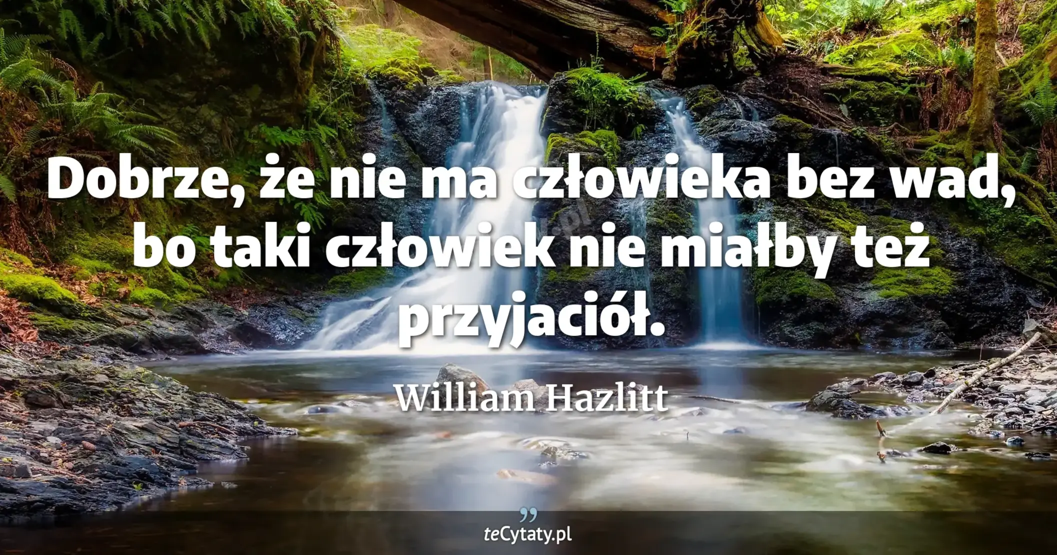 Dobrze, że nie ma człowieka bez wad, bo taki człowiek nie miałby też przyjaciół. - William Hazlitt