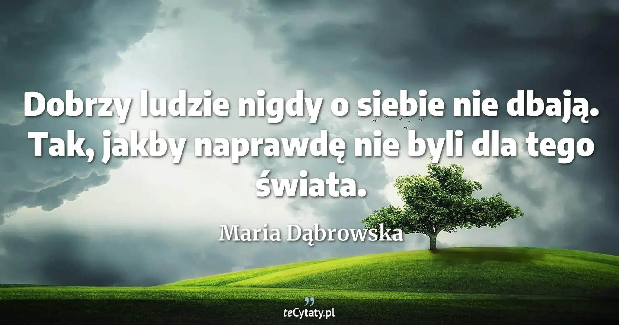 Dobrzy ludzie nigdy o siebie nie dbają. Tak, jakby naprawdę nie byli dla tego świata. - Maria Dąbrowska