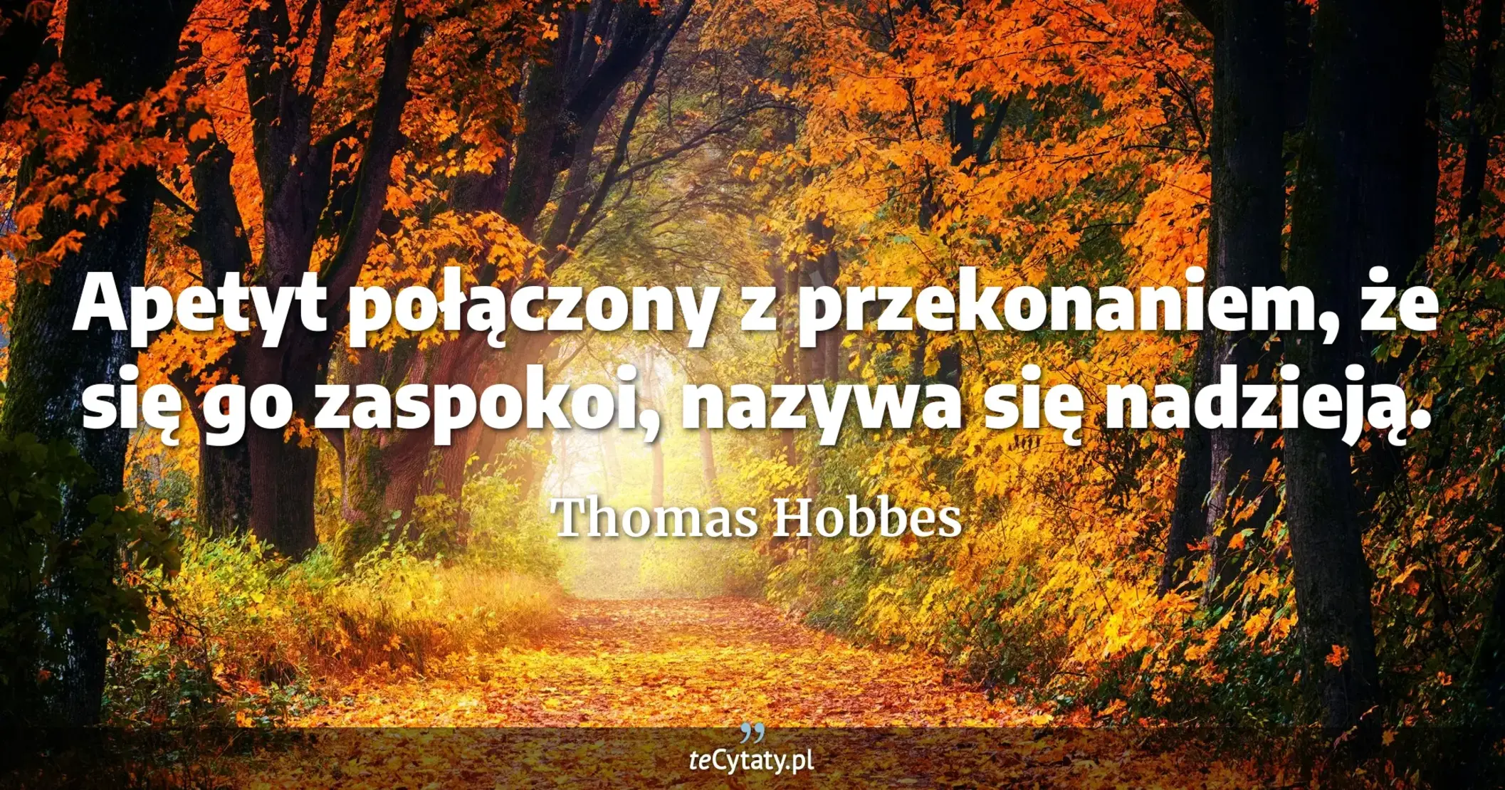 Apetyt połączony z przekonaniem, że się go zaspokoi, nazywa się nadzieją. - Thomas Hobbes
