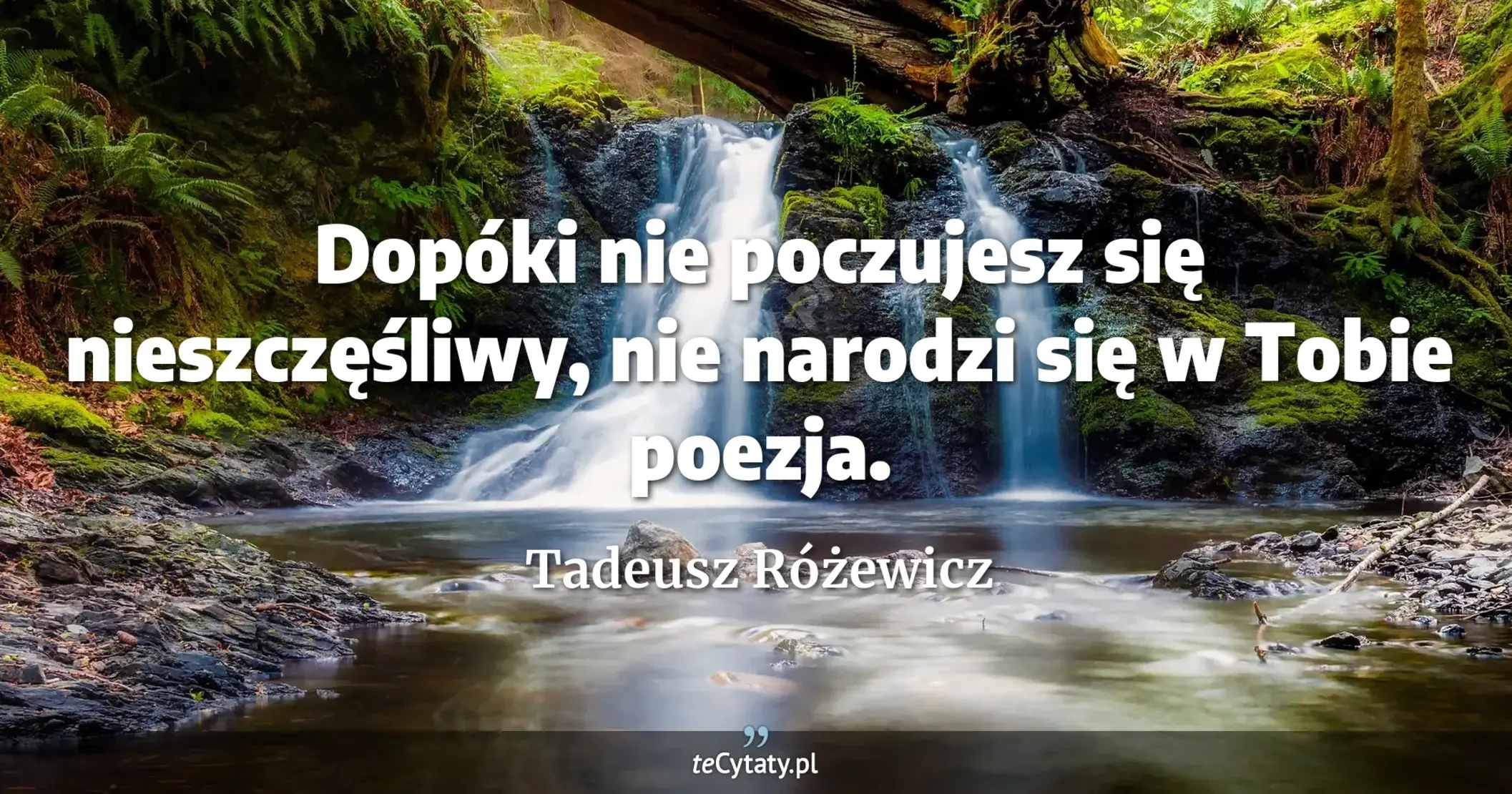 Dopóki nie poczujesz się nieszczęśliwy, nie narodzi się w Tobie poezja. - Tadeusz Różewicz