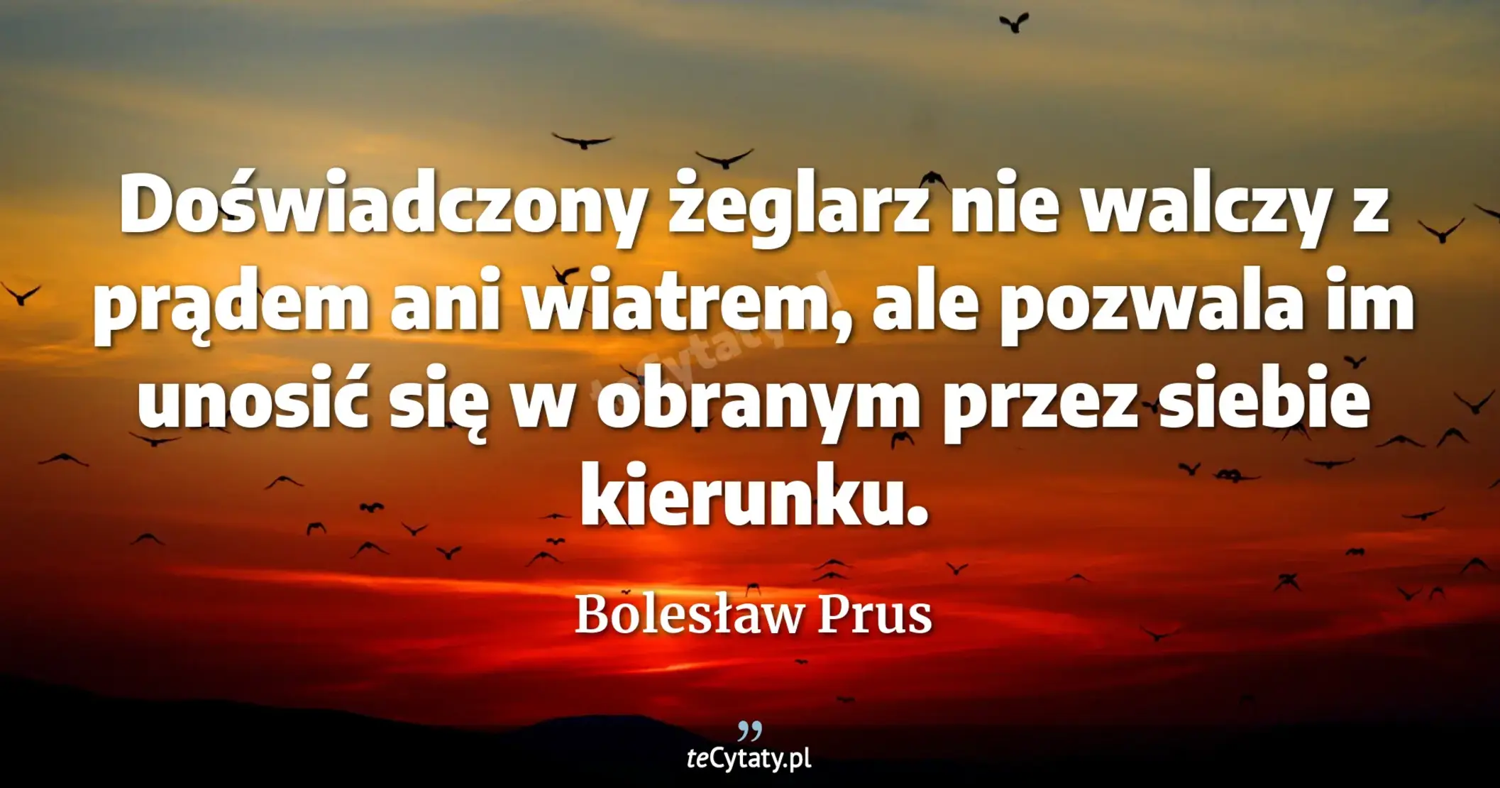 Doświadczony żeglarz nie walczy z prądem ani wiatrem, ale pozwala im unosić się w obranym przez siebie kierunku. - Bolesław Prus
