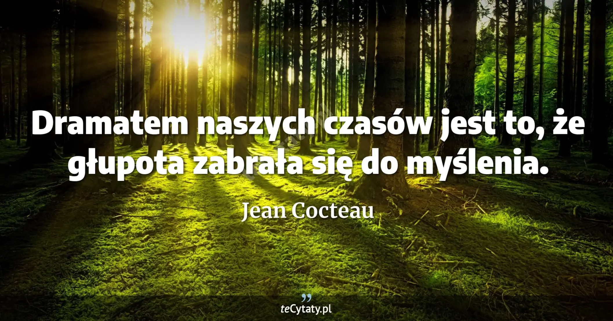 Dramatem naszych czasów jest to, że głupota zabrała się do myślenia. - Jean Cocteau