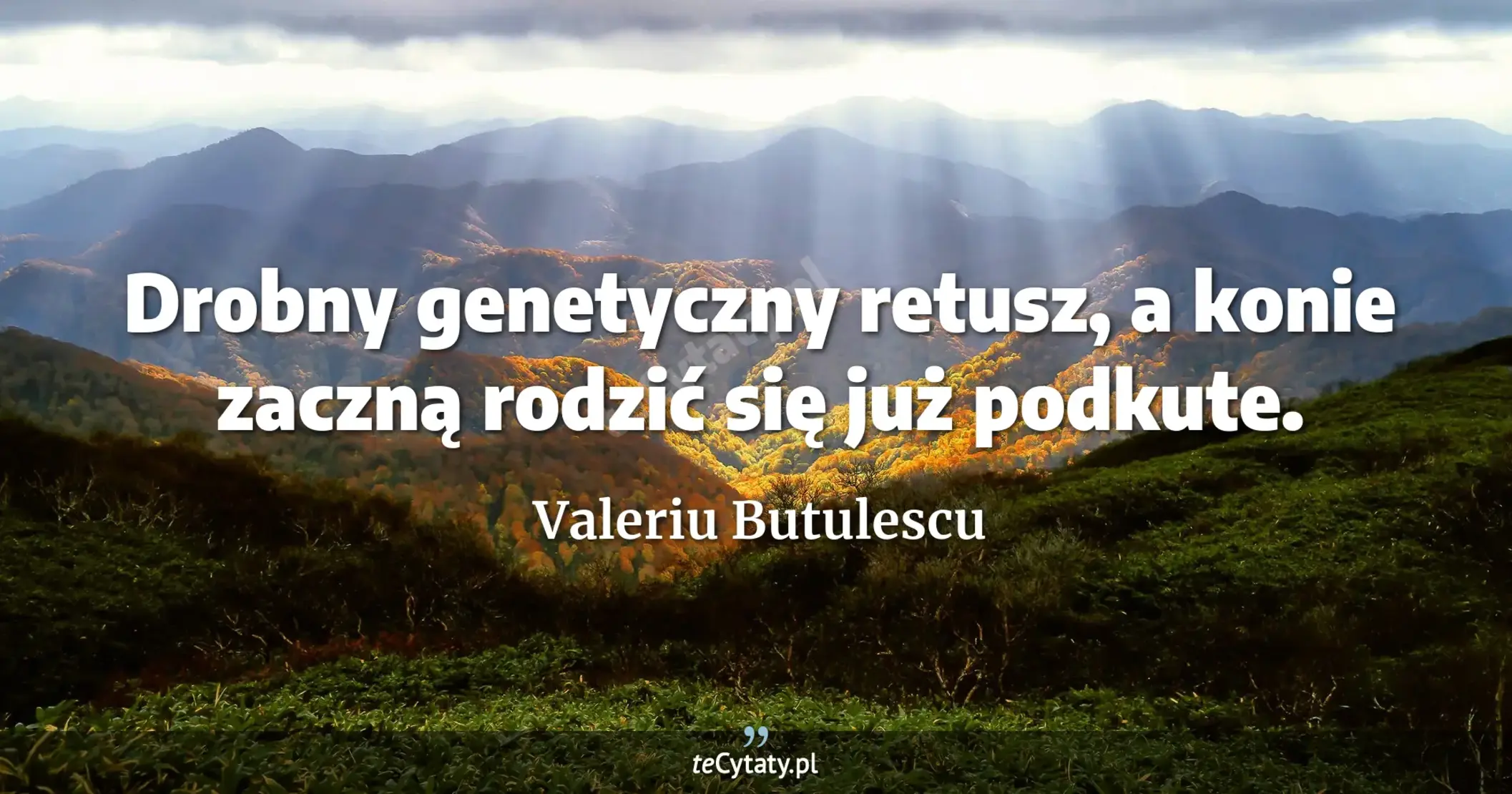 Drobny genetyczny retusz, a konie zaczną rodzić się już podkute. - Valeriu Butulescu