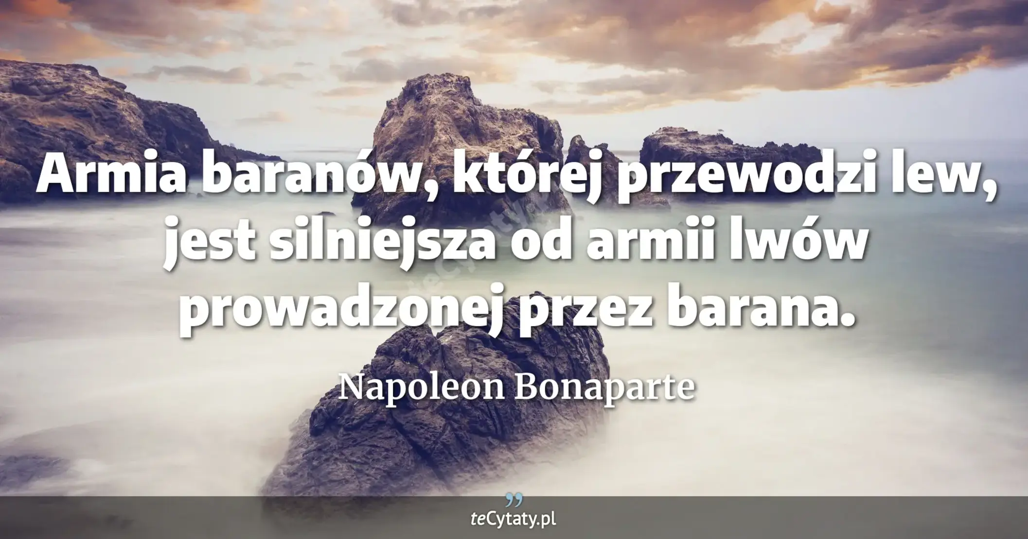 Armia baranów, której przewodzi lew, jest silniejsza od armii lwów prowadzonej przez barana. - Napoleon Bonaparte