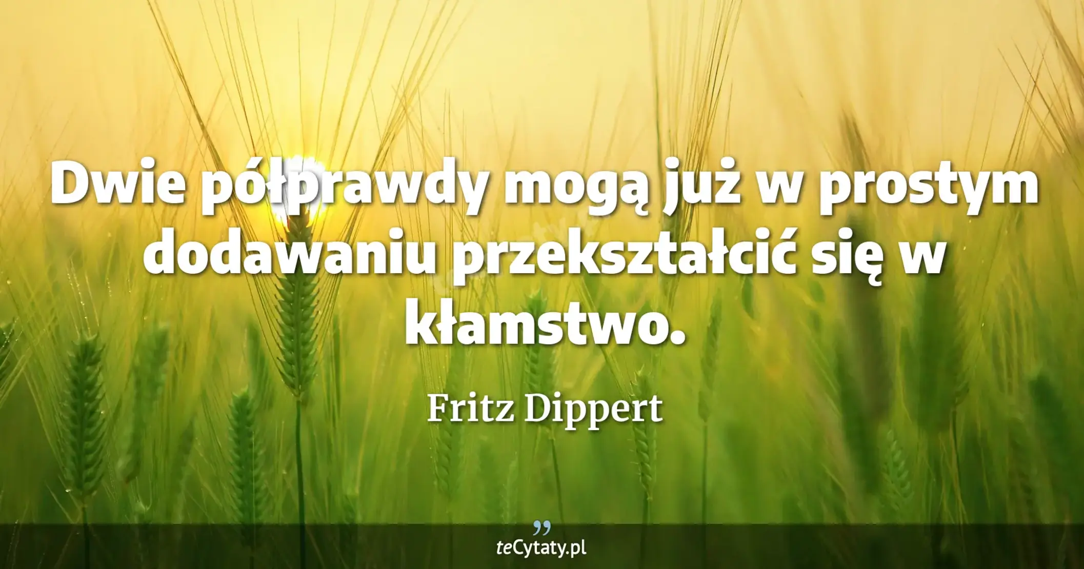 Dwie półprawdy mogą już w prostym dodawaniu przekształcić się w kłamstwo. - Fritz Dippert