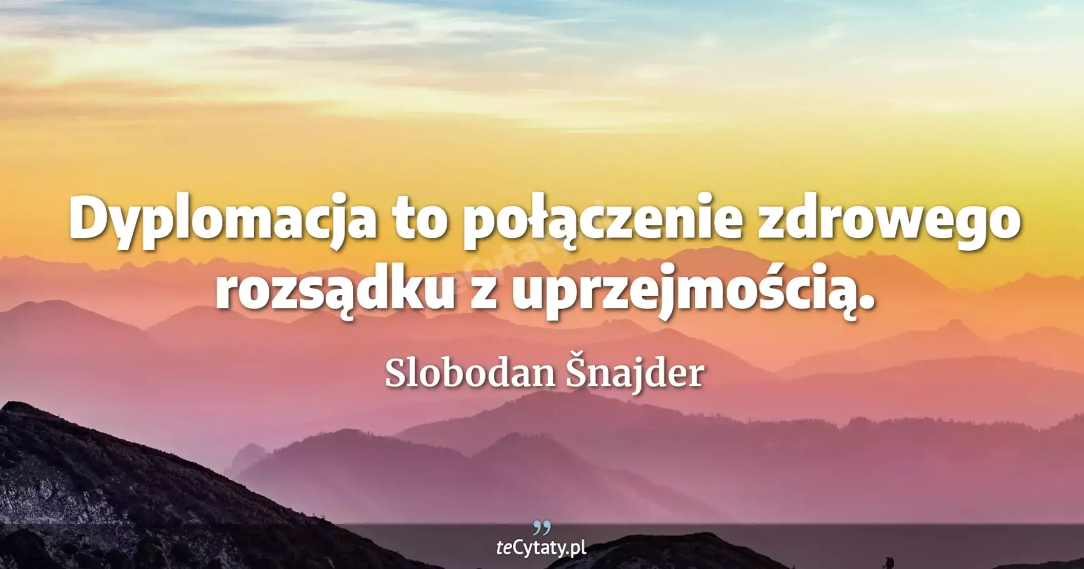 Dyplomacja to połączenie zdrowego rozsądku z uprzejmością. - Slobodan Šnajder