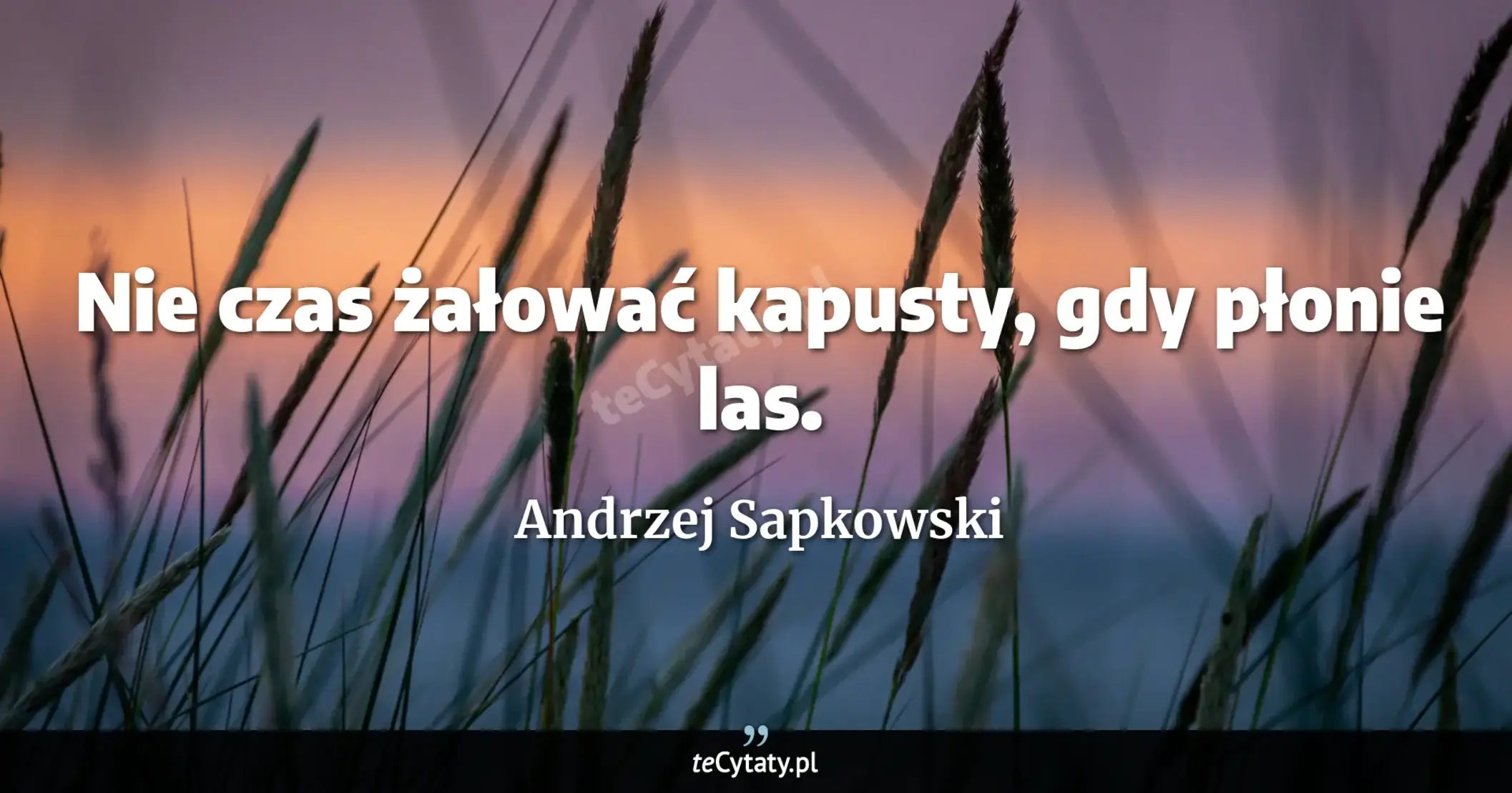 Cytat Andrzej Sapkowski: "Nie czas żałować kapusty, gdy płonie las...."