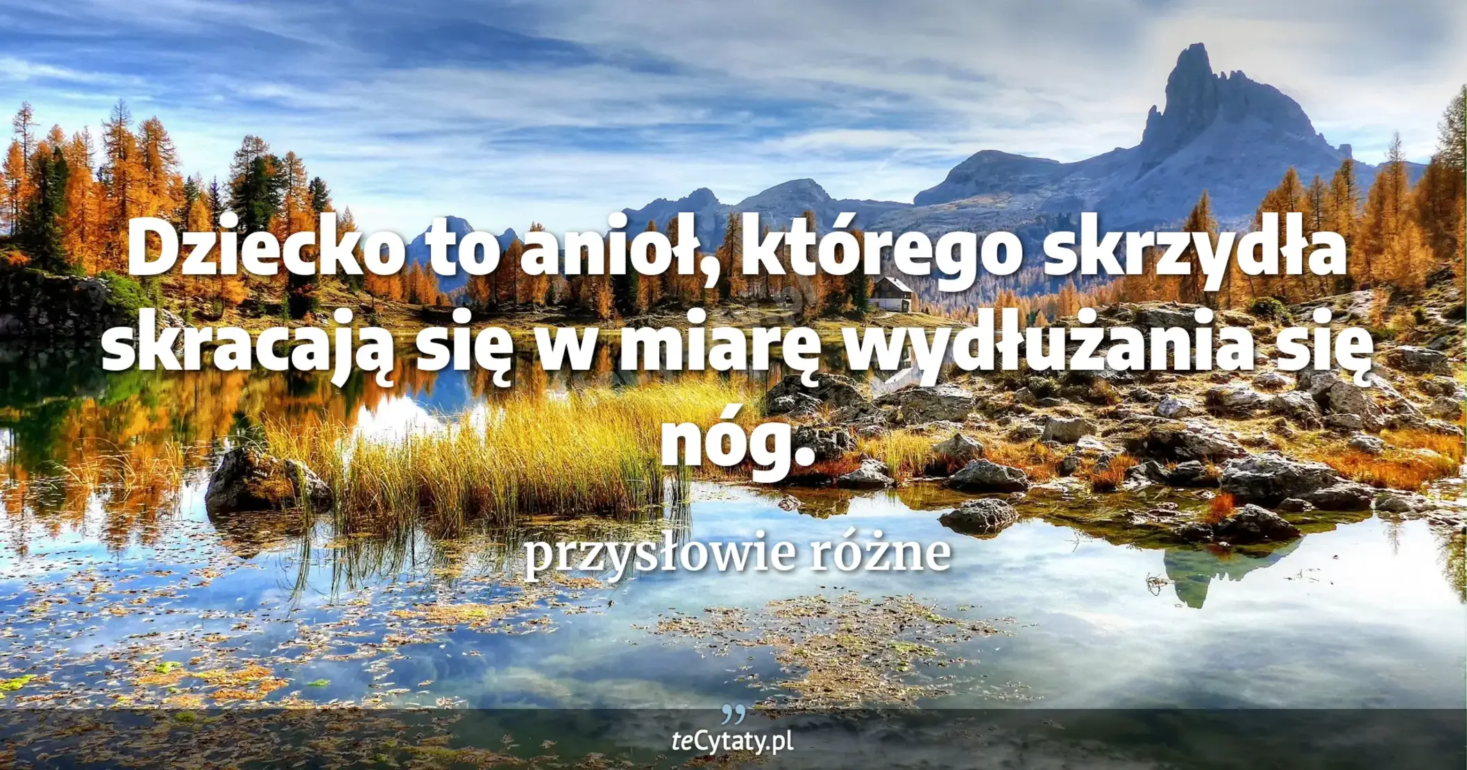 Dziecko to anioł, którego skrzydła skracają się w miarę wydłużania się nóg. - przysłowie różne