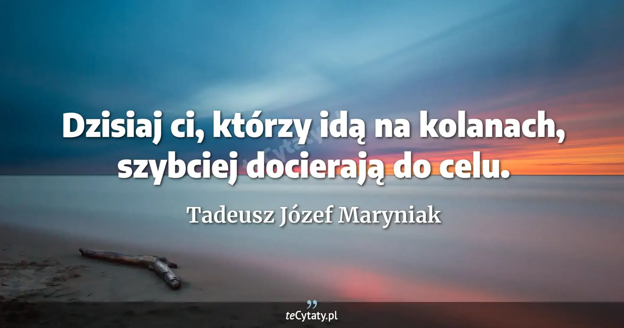 Dzisiaj ci, którzy idą na kolanach, szybciej docierają do celu. - Tadeusz Józef Maryniak