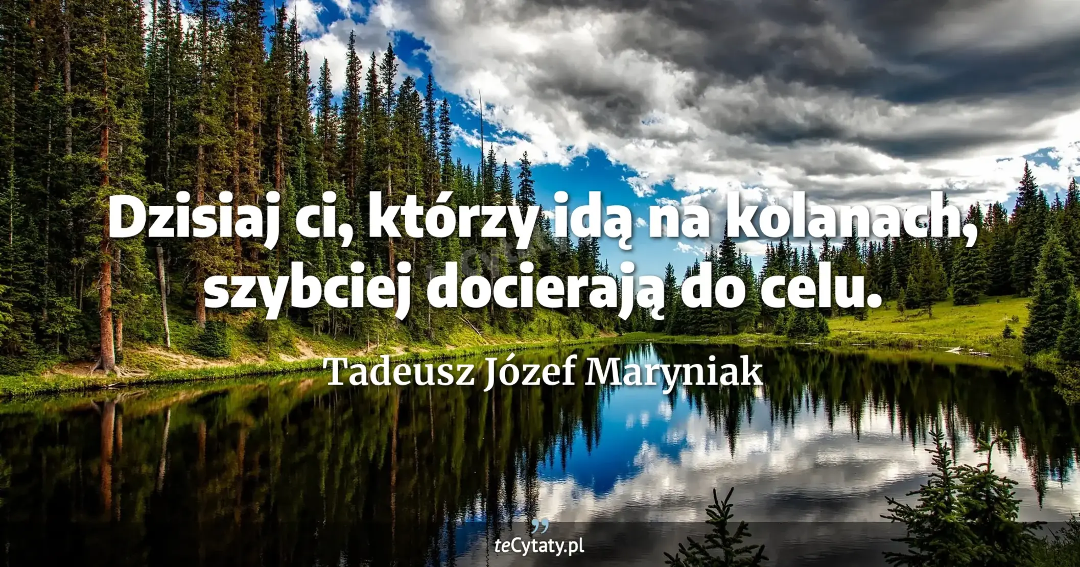 Dzisiaj ci, którzy idą na kolanach, szybciej docierają do celu. - Tadeusz Józef Maryniak
