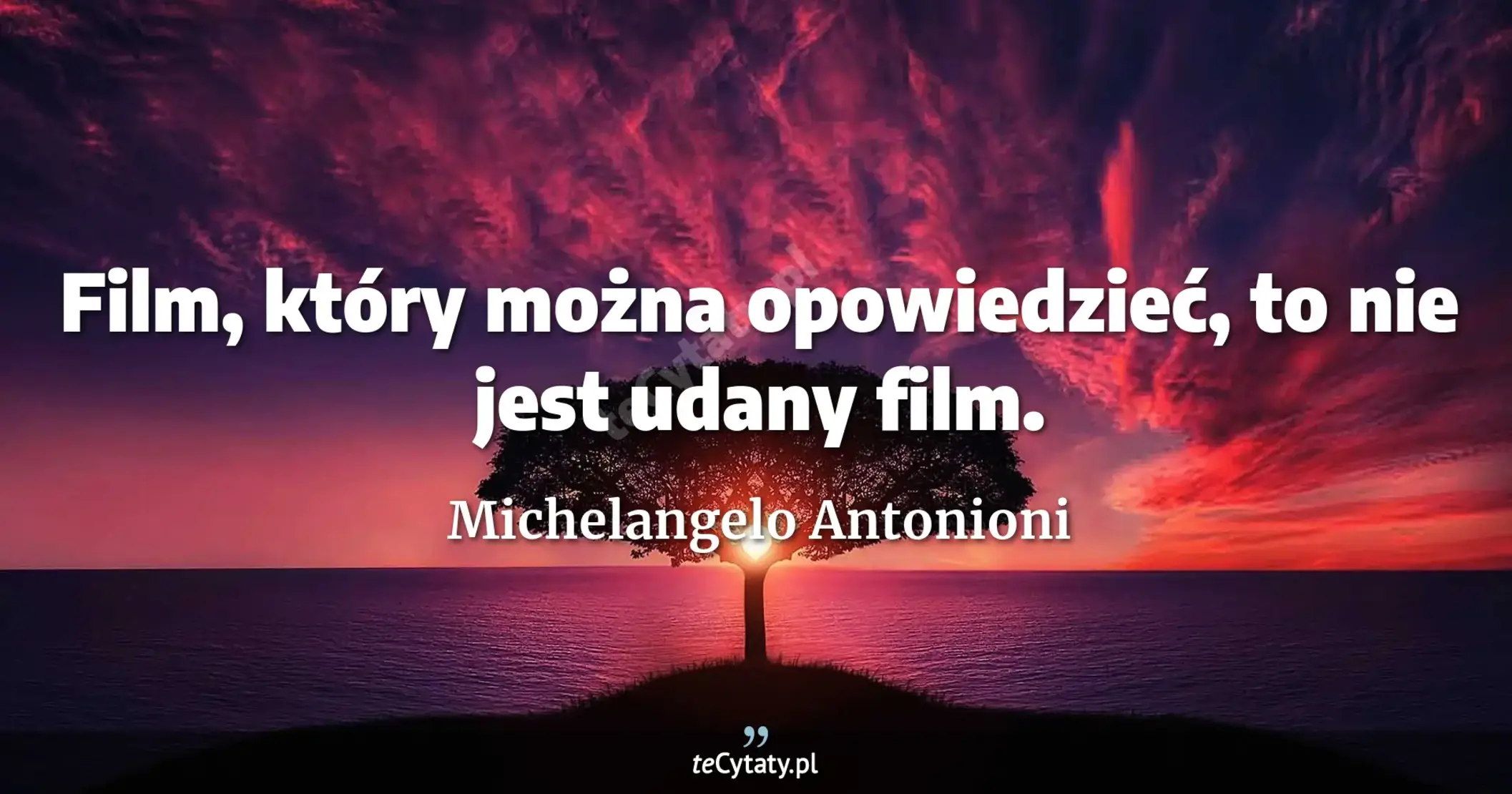 Film, który można opowiedzieć, to nie jest udany film. - Michelangelo Antonioni