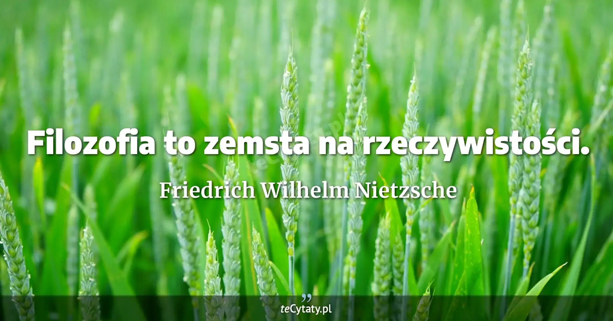 Filozofia to zemsta na rzeczywistości. - Friedrich Wilhelm Nietzsche