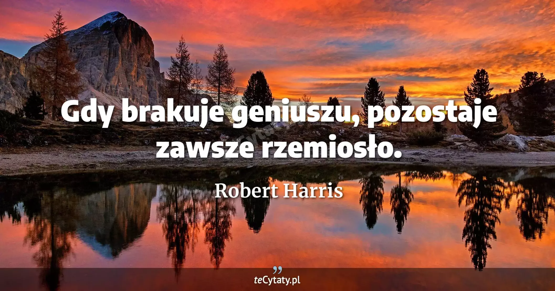 Gdy brakuje geniuszu, pozostaje zawsze rzemiosło. - Robert Harris