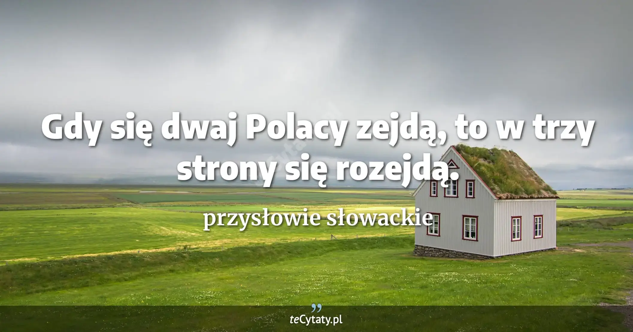 Gdy się dwaj Polacy zejdą, to w trzy strony się rozejdą. - przysłowie słowackie