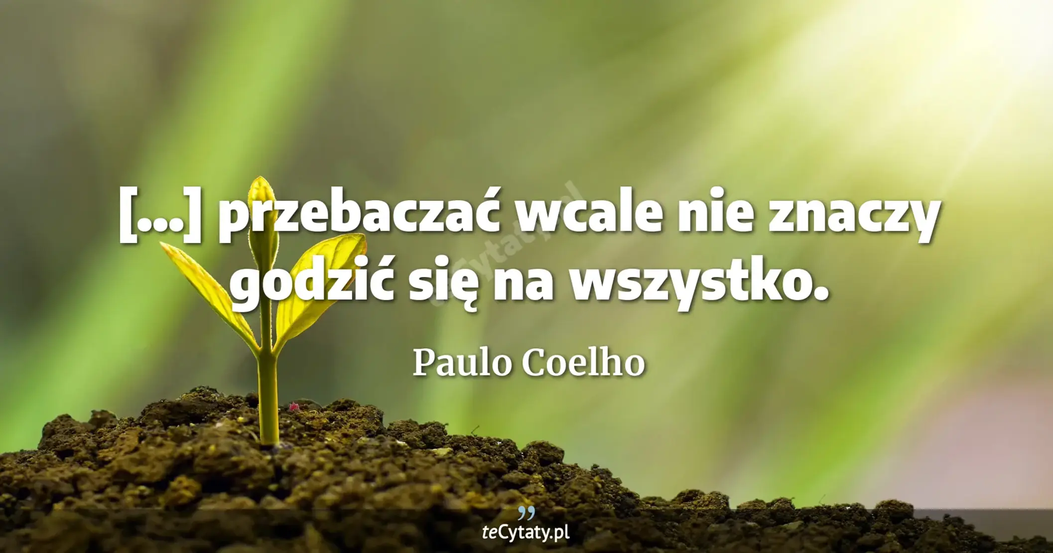 [...] przebaczać wcale nie znaczy godzić się na wszystko. - Paulo Coelho