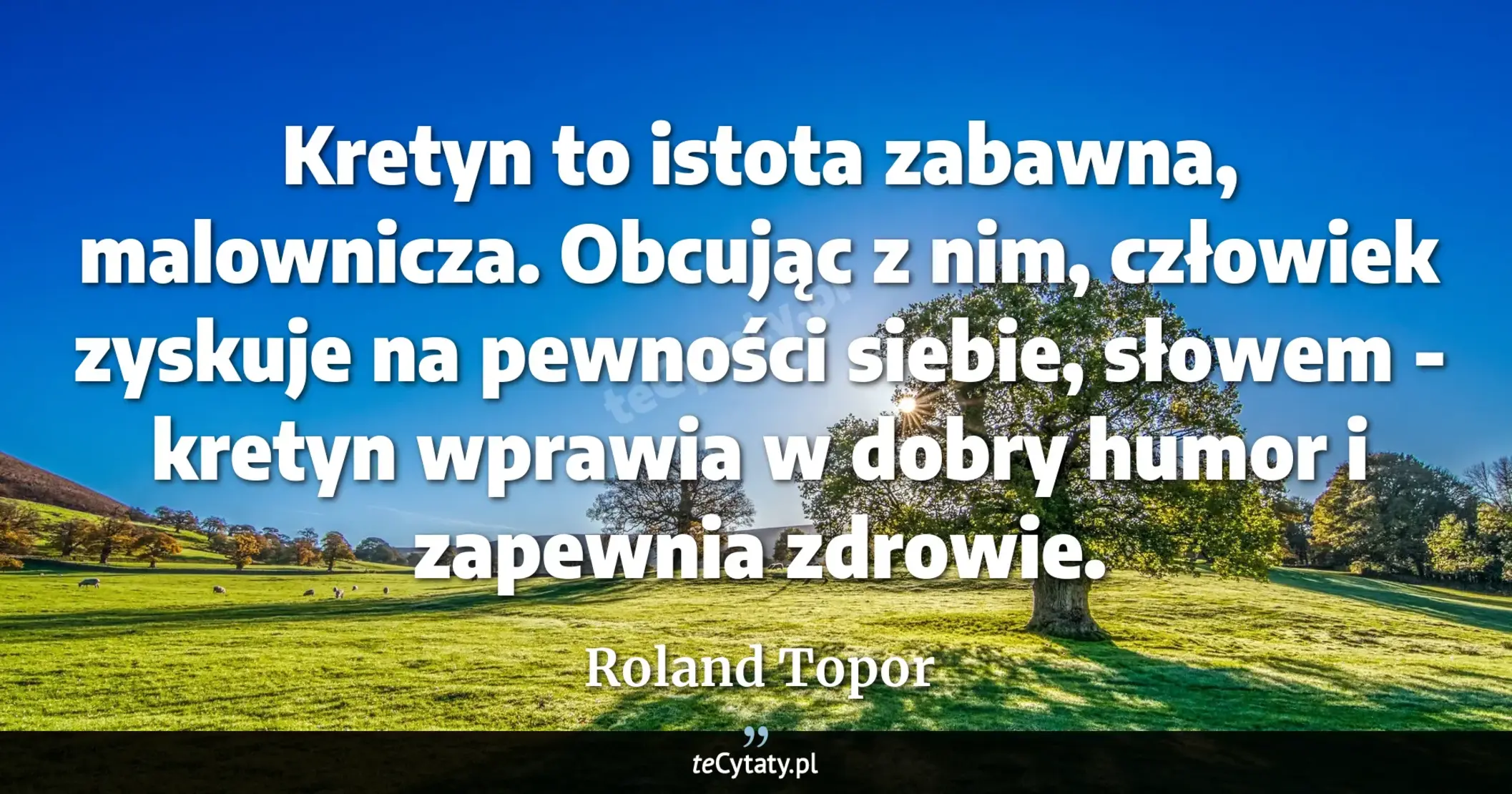 Cytat Roland Topor: "Kretyn to istota zabawna, malownicza. Obcując z nim, człowiek zyskuje na pewności siebie, słowem - k..."