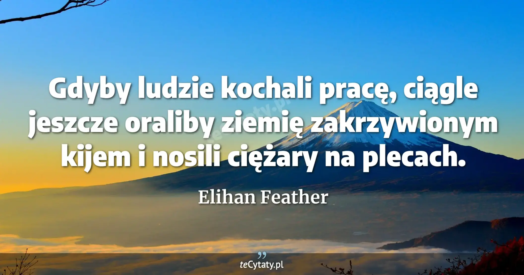 Gdyby ludzie kochali pracę, ciągle jeszcze oraliby ziemię zakrzywionym kijem i nosili ciężary na plecach. - Elihan Feather
