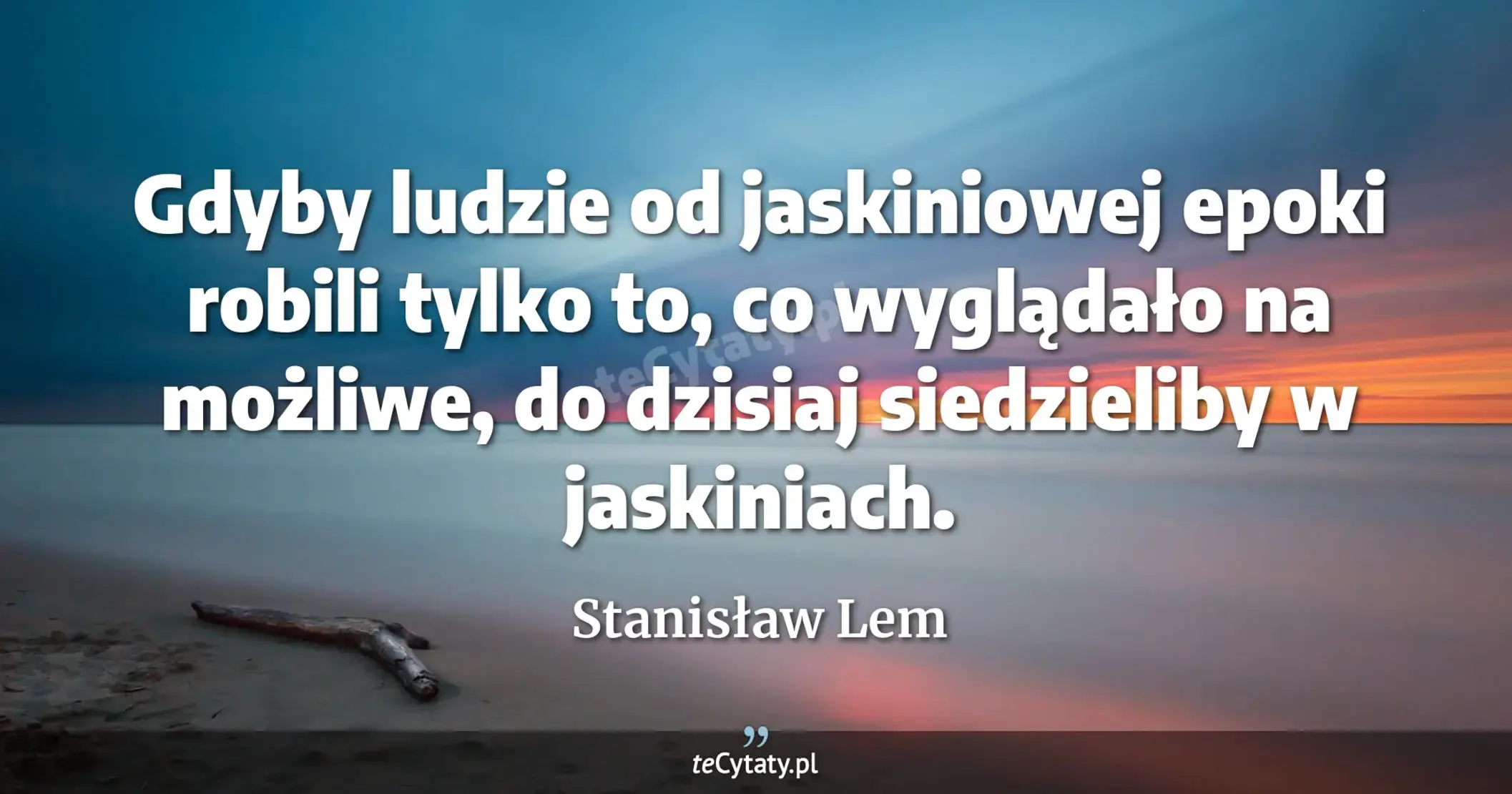 Gdyby ludzie od jaskiniowej epoki robili tylko to, co wyglądało na możliwe, do dzisiaj siedzieliby w jaskiniach. - Stanisław Lem