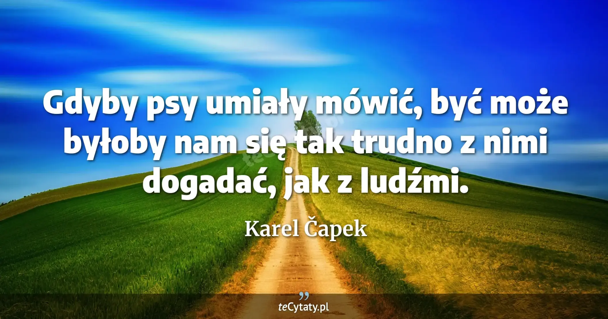 Gdyby psy umiały mówić, być może byłoby nam się tak trudno z nimi dogadać, jak z ludźmi. - Karel Čapek
