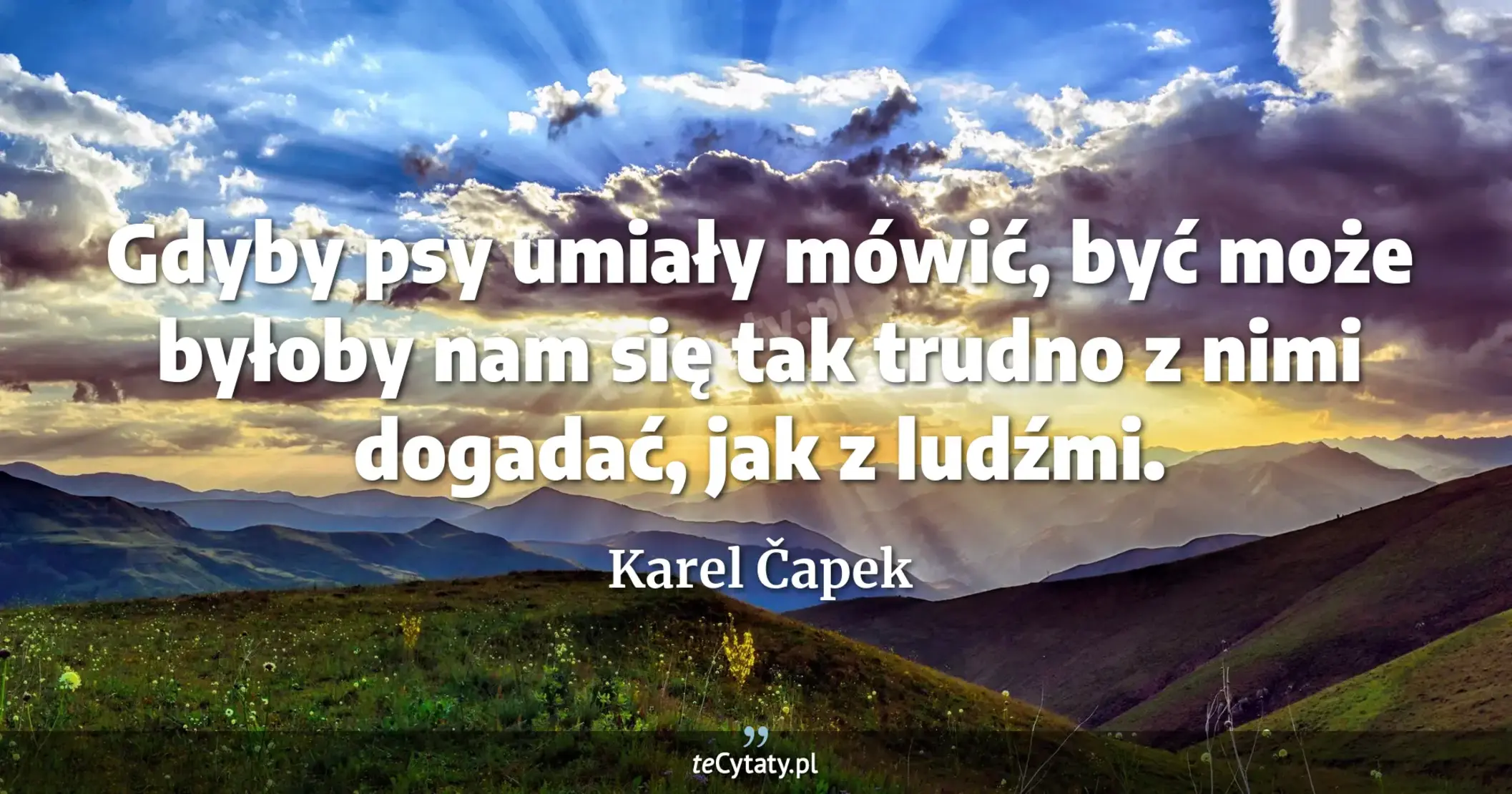 Gdyby psy umiały mówić, być może byłoby nam się tak trudno z nimi dogadać, jak z ludźmi. - Karel Čapek
