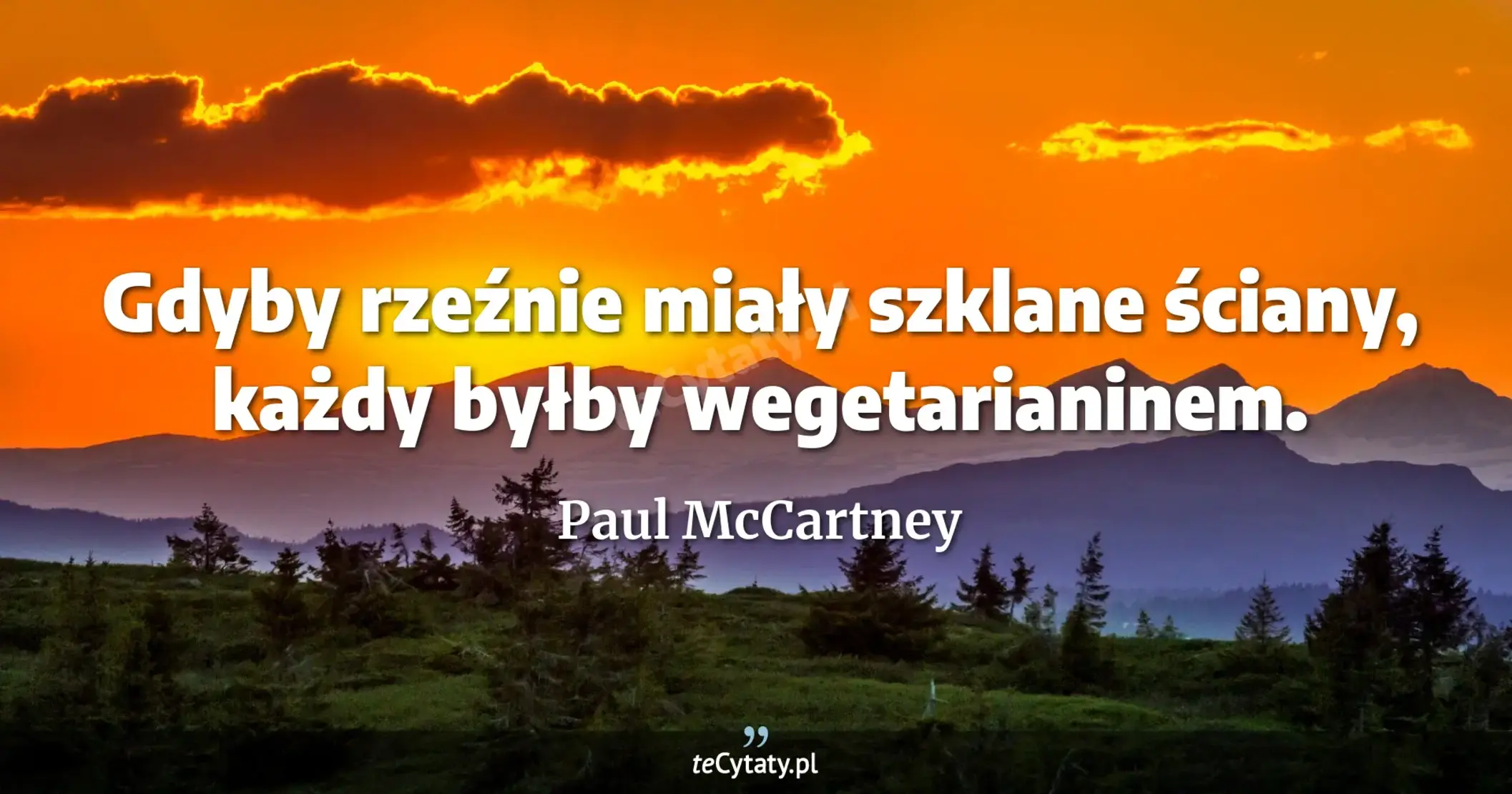 Gdyby rzeźnie miały szklane ściany, każdy byłby wegetarianinem. - Paul McCartney