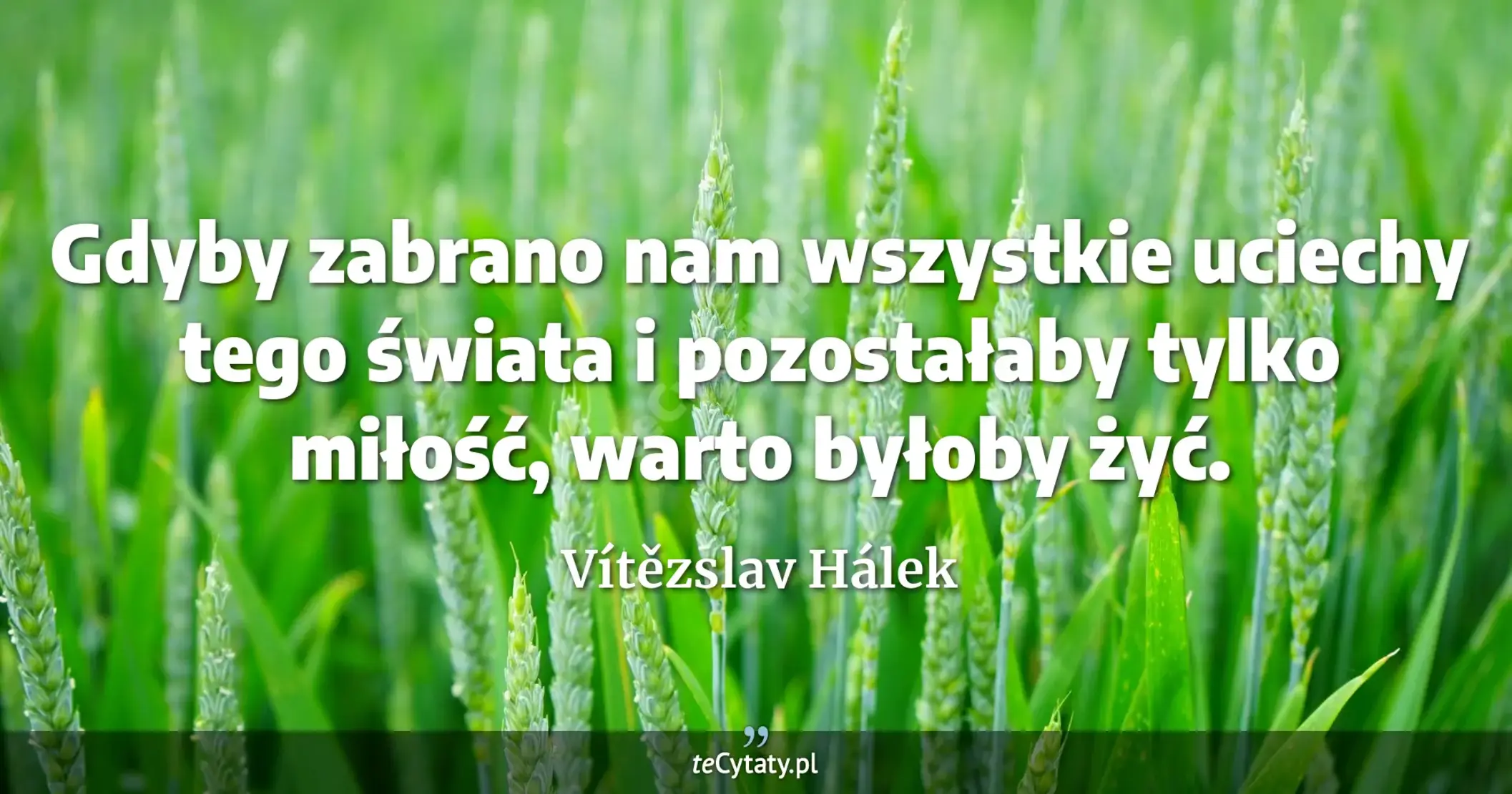 Gdyby zabrano nam wszystkie uciechy tego świata i pozostałaby tylko miłość, warto byłoby żyć. - Vítězslav Hálek