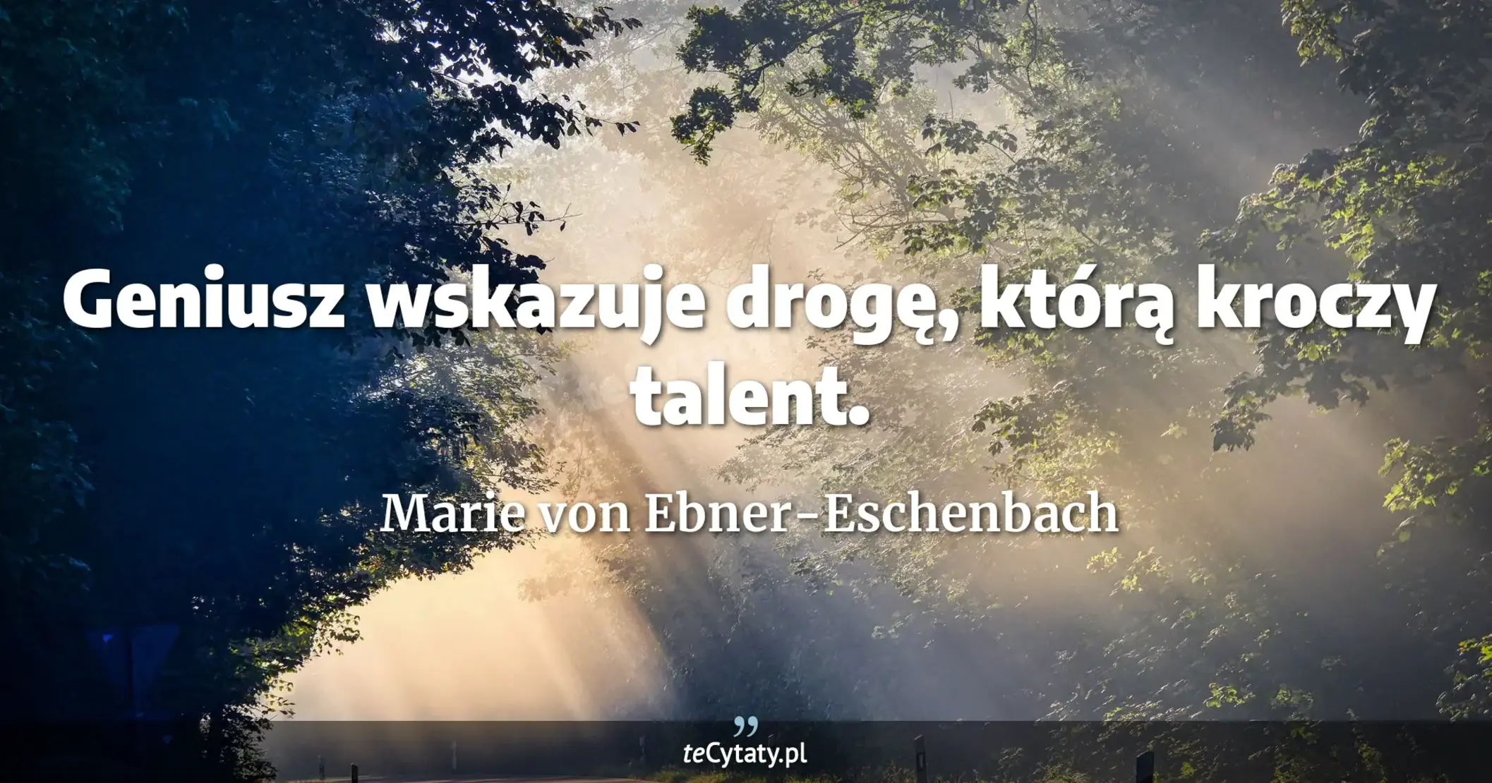 Geniusz wskazuje drogę, którą kroczy talent. - Marie von Ebner-Eschenbach