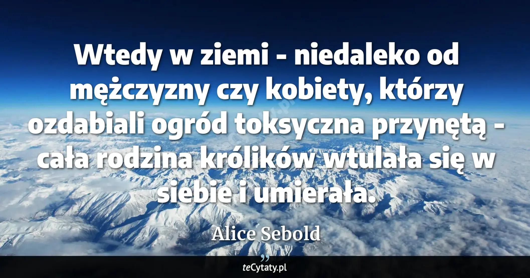 Cytat Alice Sebold: "Wtedy w ziemi - niedaleko od mężczyzny czy kobiety, którzy ozdabiali ogród toksyczna przynętą - cała..."