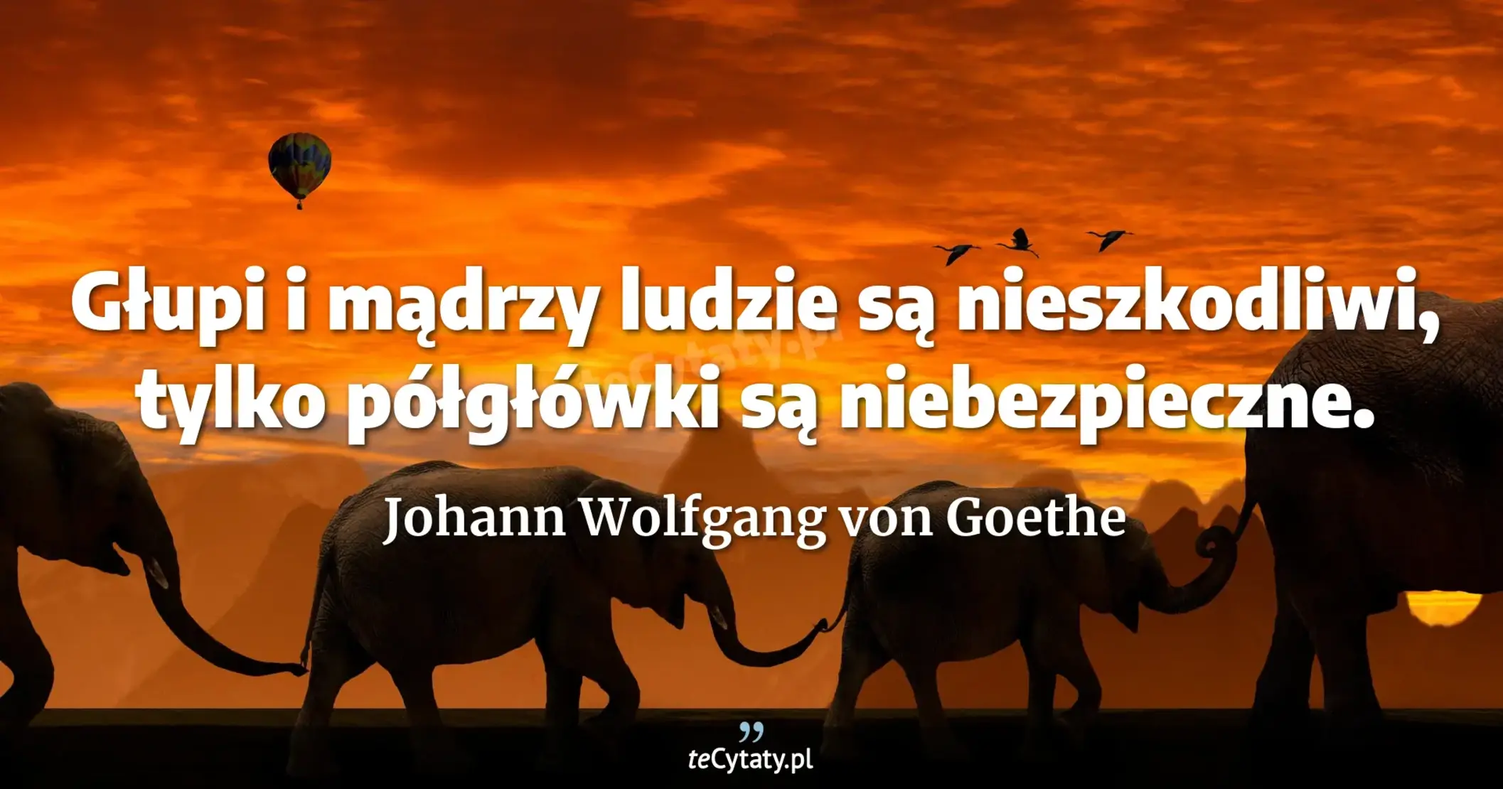 Głupi i mądrzy ludzie są nieszkodliwi, tylko półgłówki są niebezpieczne. - Johann Wolfgang von Goethe