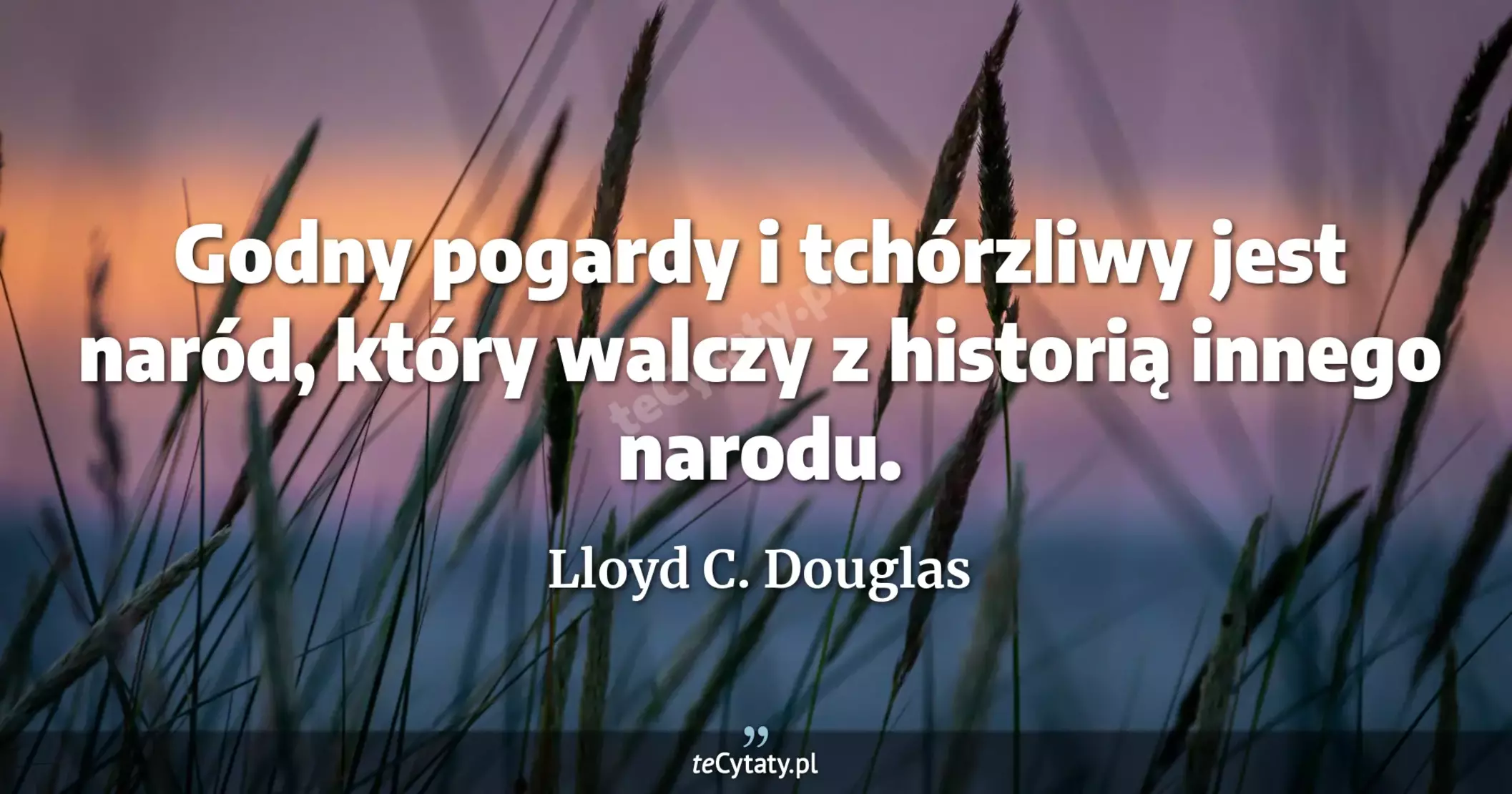 Godny pogardy i tchórzliwy jest naród, który walczy z historią innego narodu. - Lloyd C. Douglas