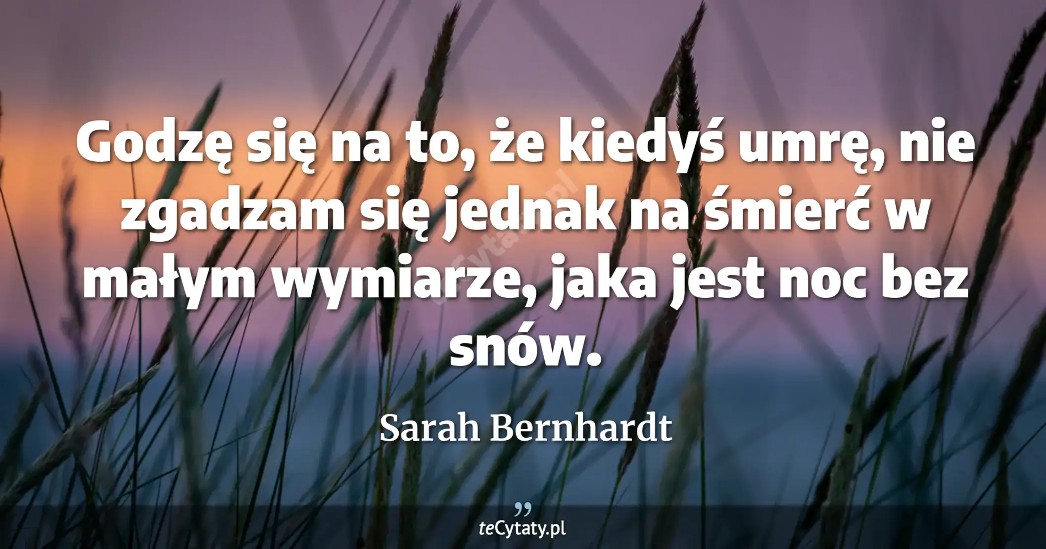 Godzę się na to, że kiedyś umrę, nie zgadzam się jednak na śmierć w małym wymiarze, jaka jest noc bez snów. - Sarah Bernhardt