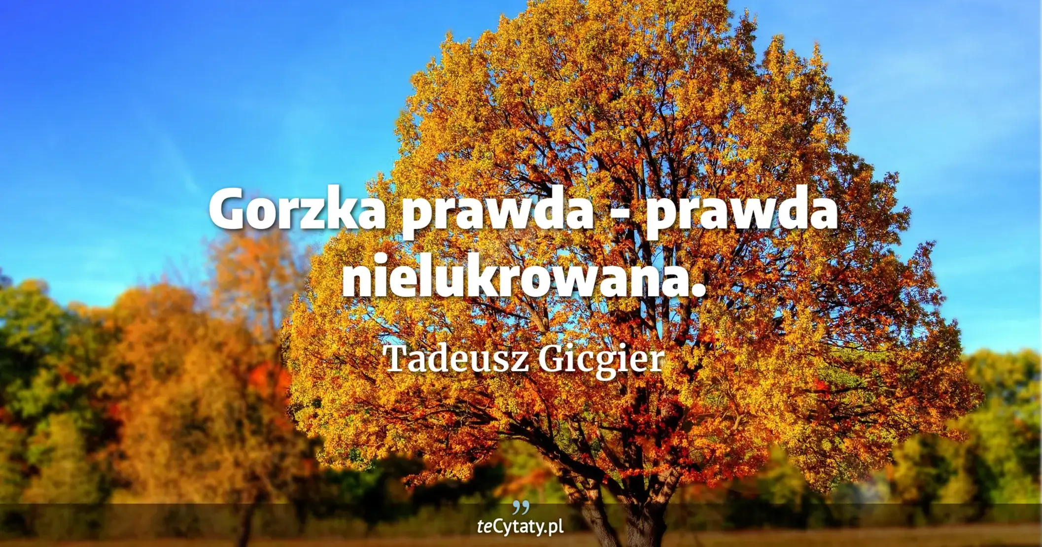 Gorzka prawda - prawda nielukrowana. - Tadeusz Gicgier