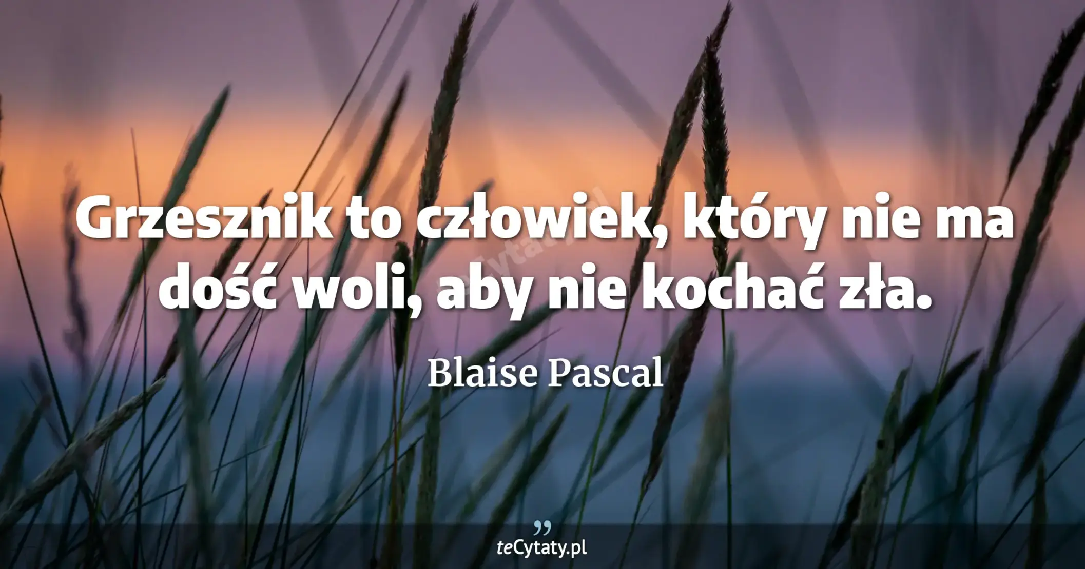 Grzesznik to człowiek, który nie ma dość woli, aby nie kochać zła. - Blaise Pascal