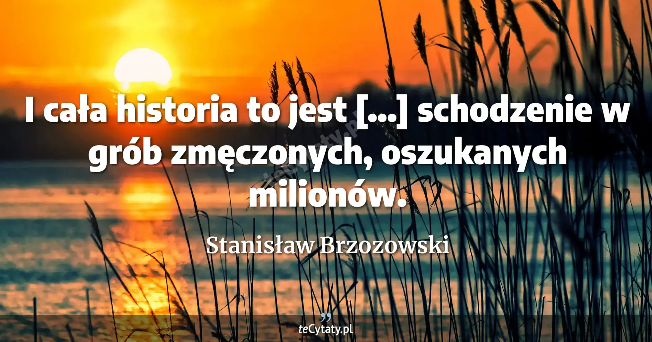 I cała historia to jest [...] schodzenie w grób zmęczonych, oszukanych milionów. - Stanisław Brzozowski
