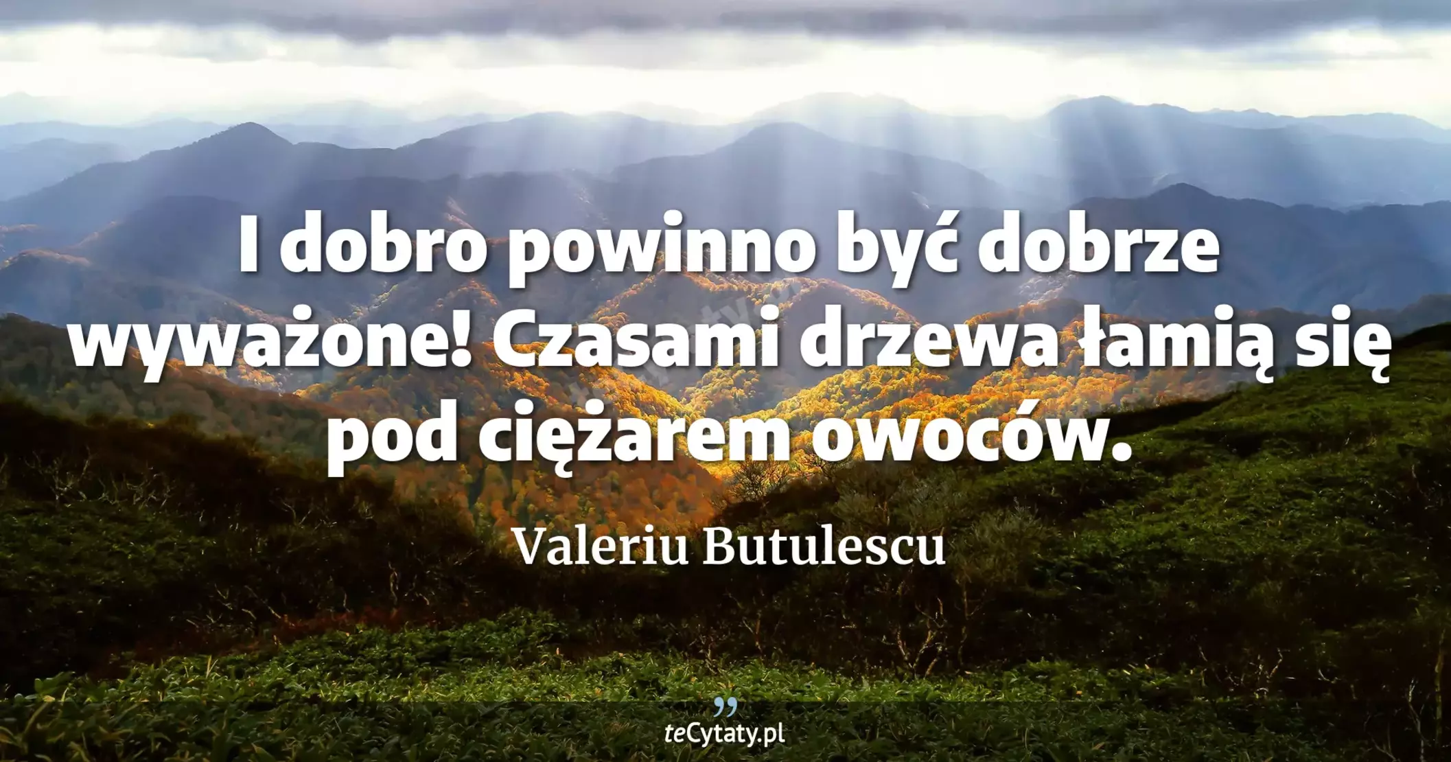 I dobro powinno być dobrze wyważone! Czasami drzewa łamią się pod ciężarem owoców. - Valeriu Butulescu